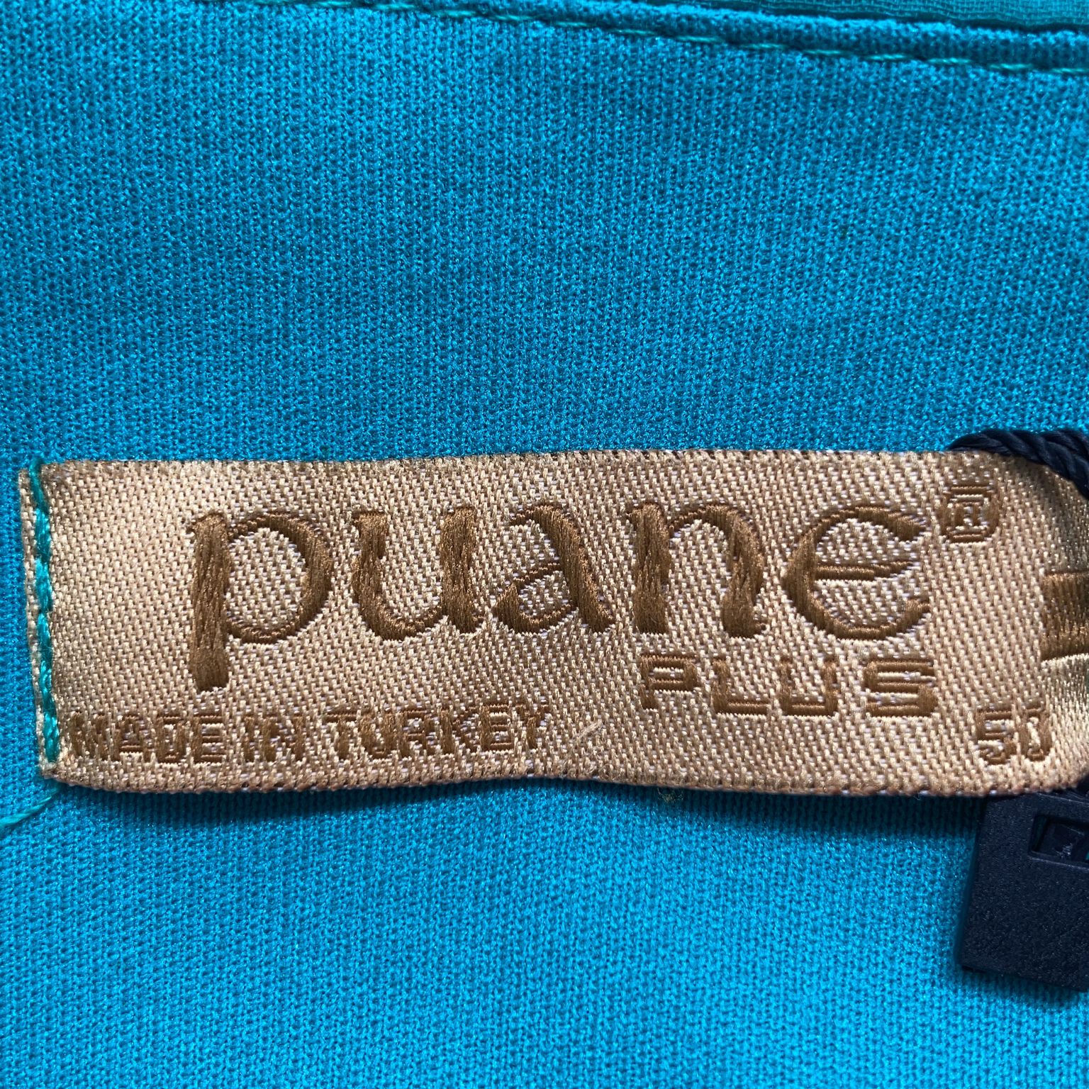 Puane