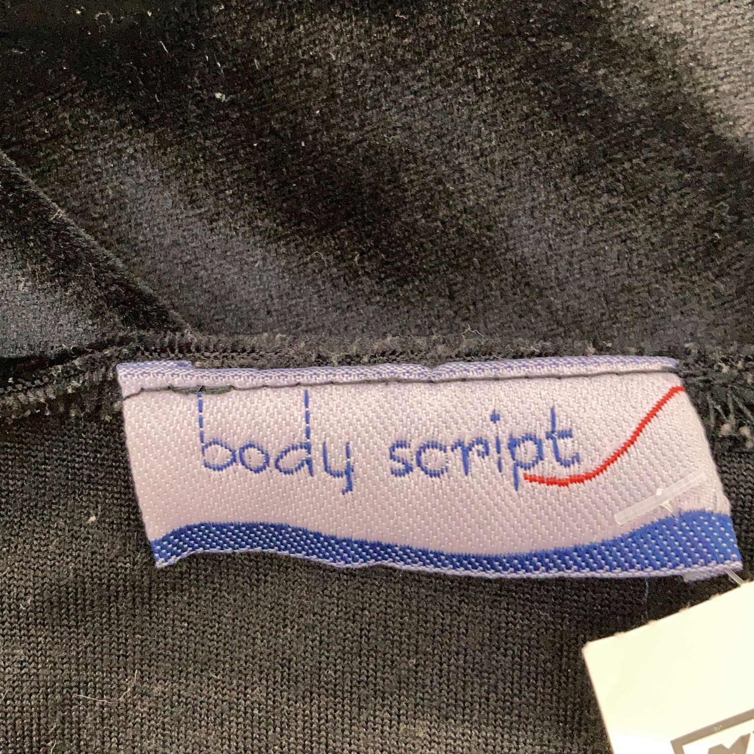 Body Script