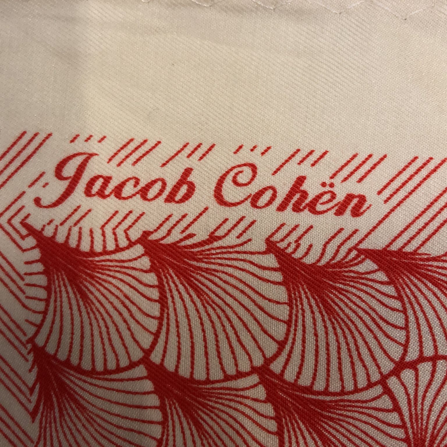 Jacob Cohen