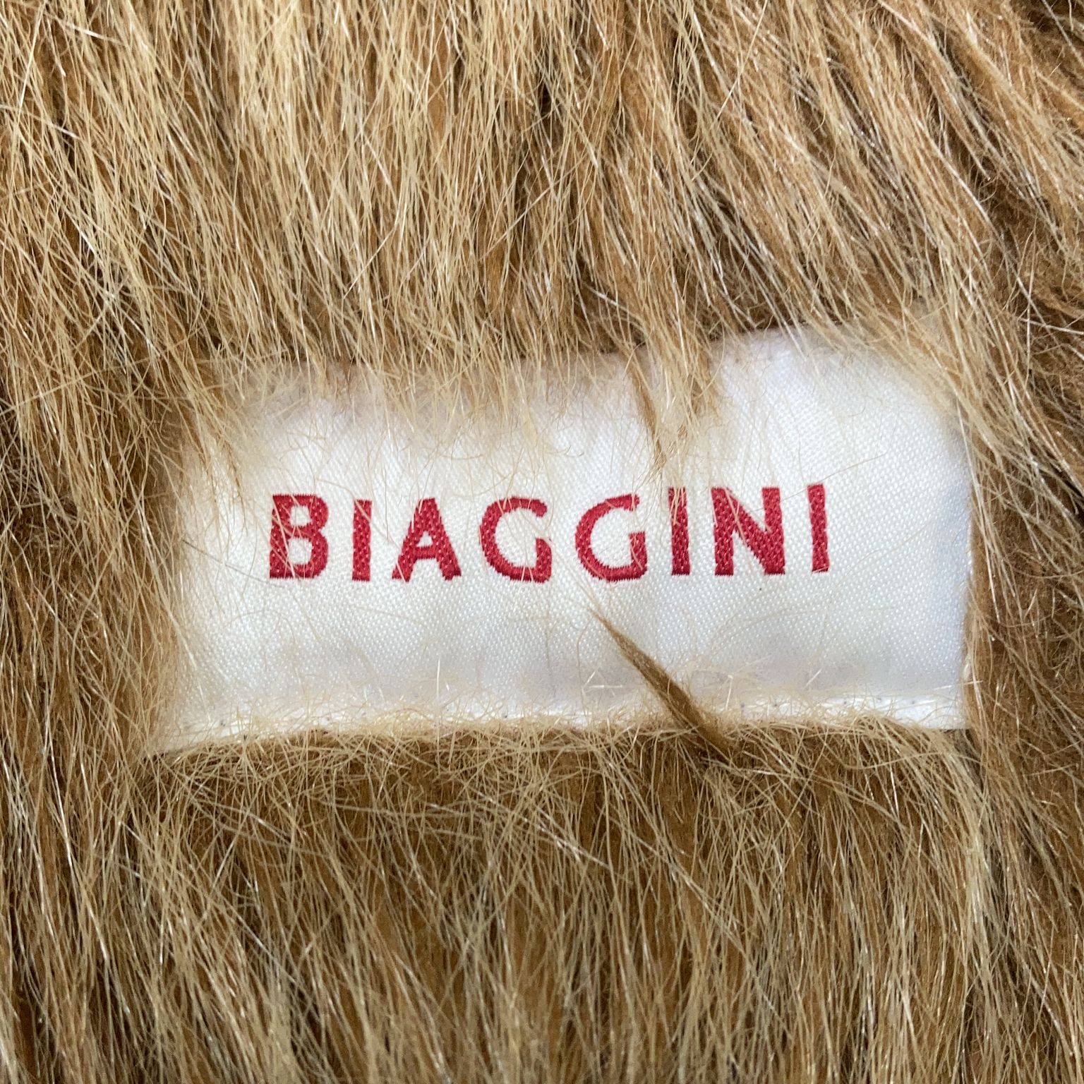 Biaggini