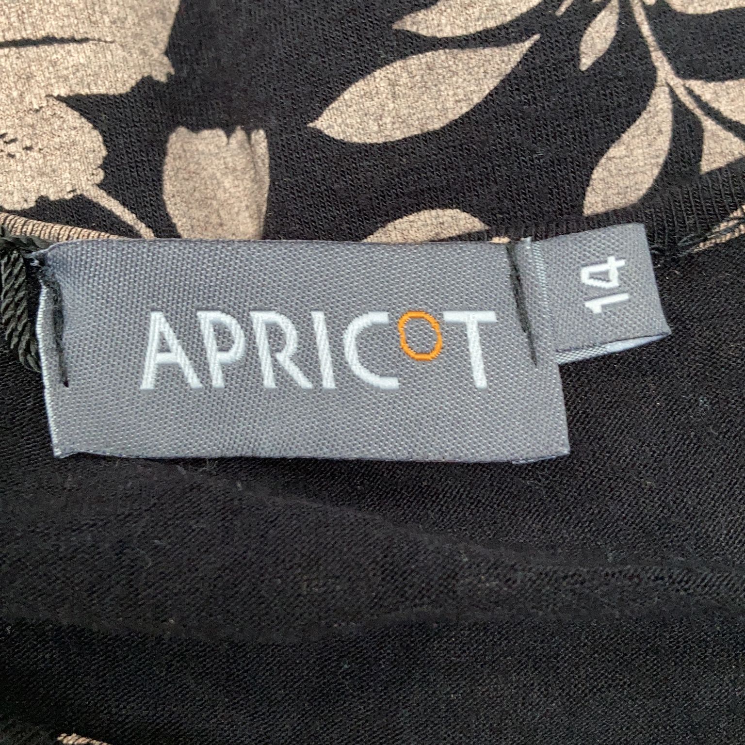 Apricot