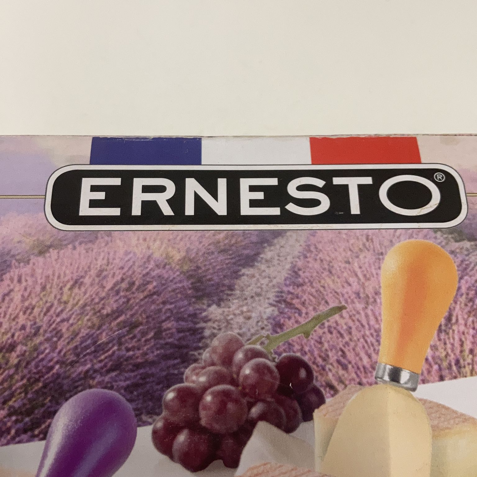 Ernesto