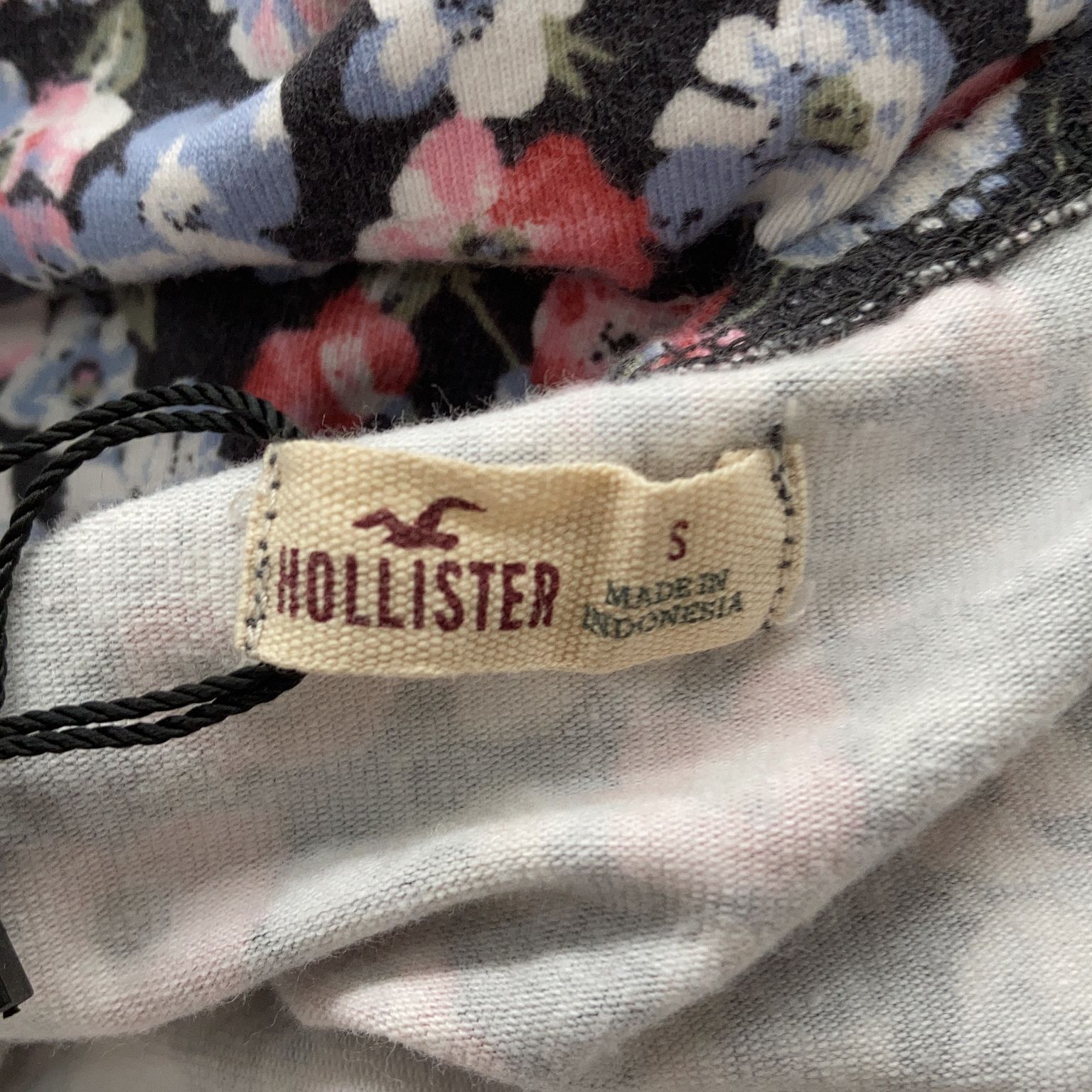 Hollister