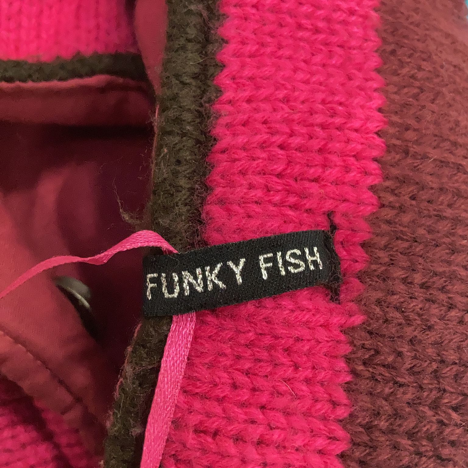 Funky Fish