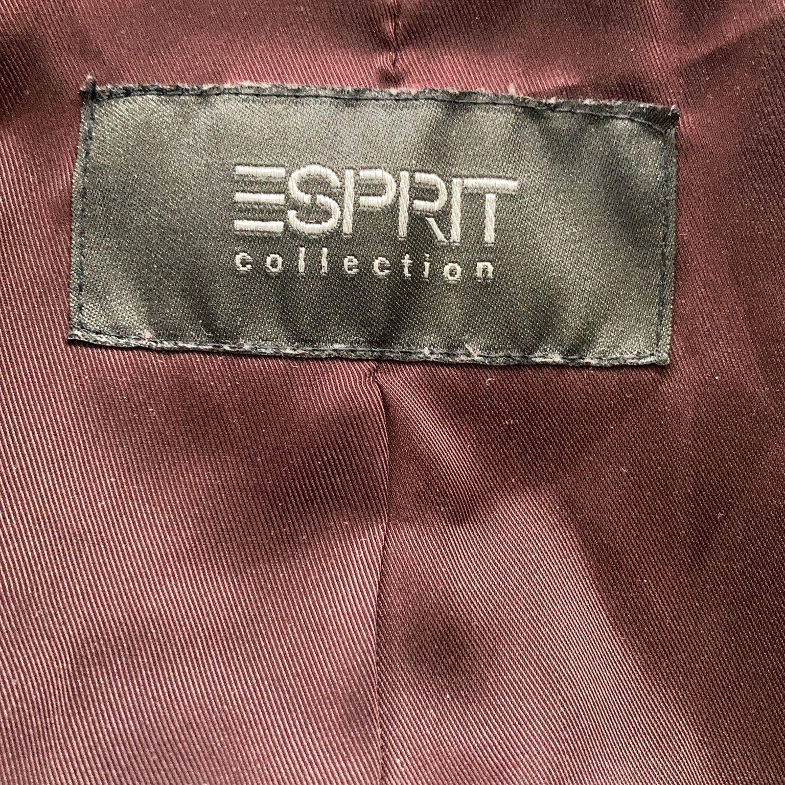 ESPRIT Collection