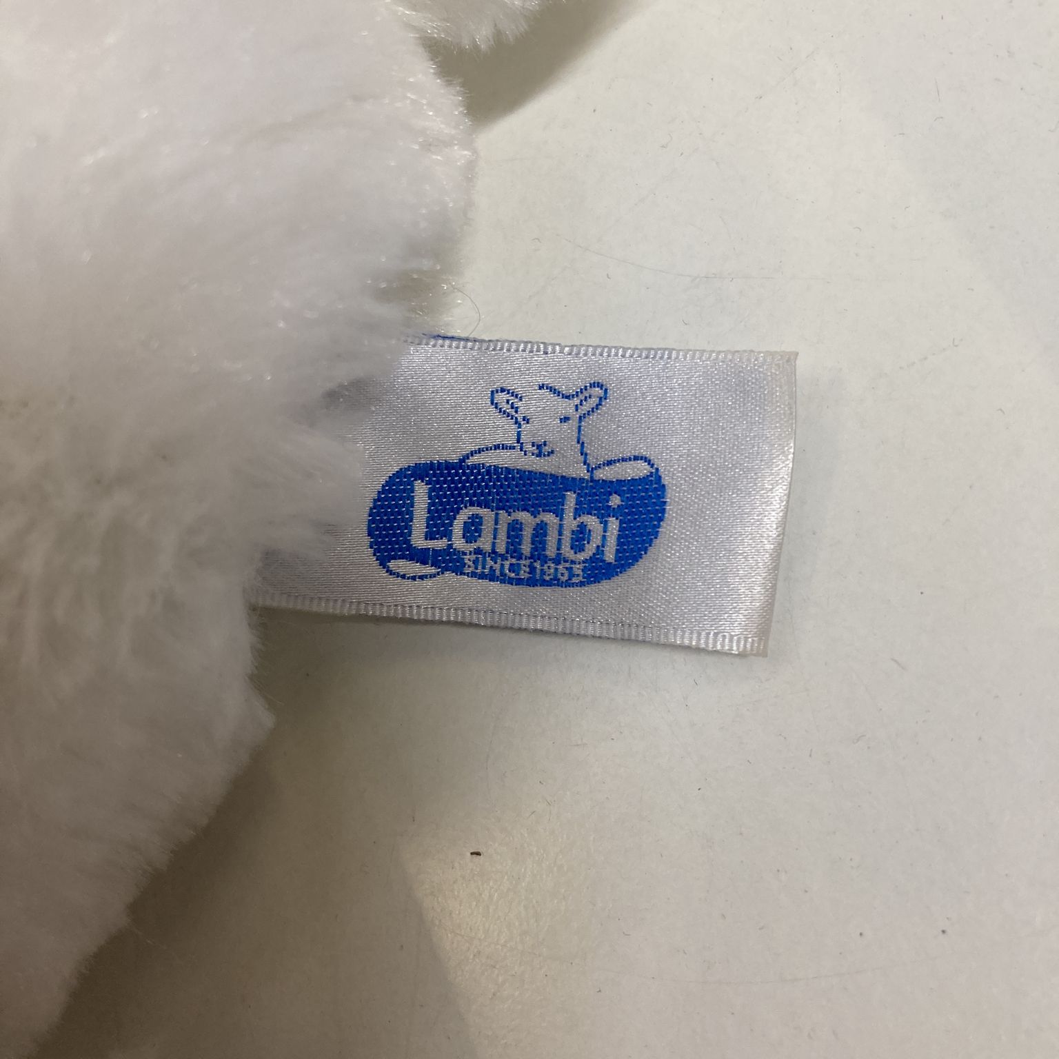 Lambi