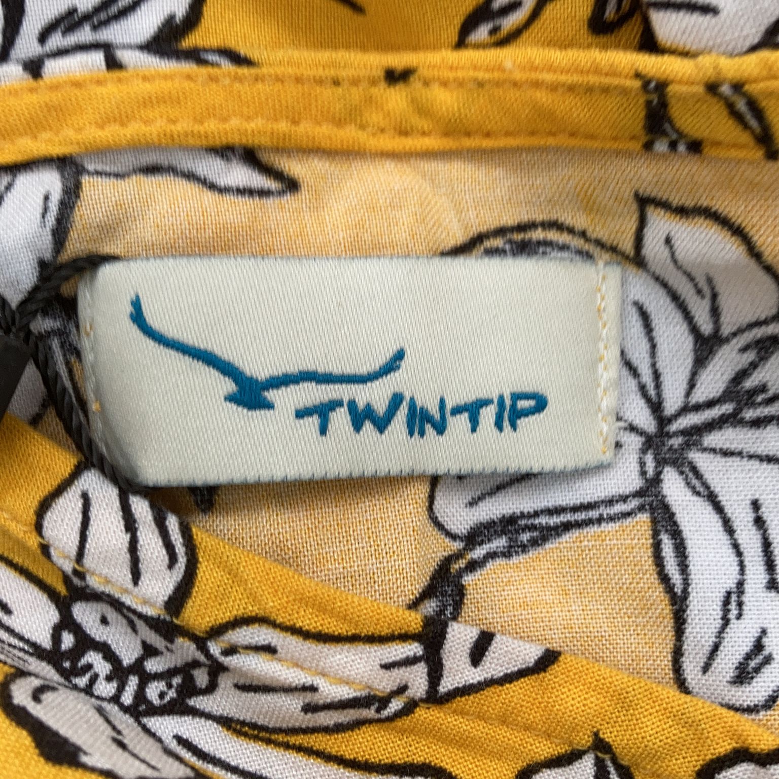 Twintip