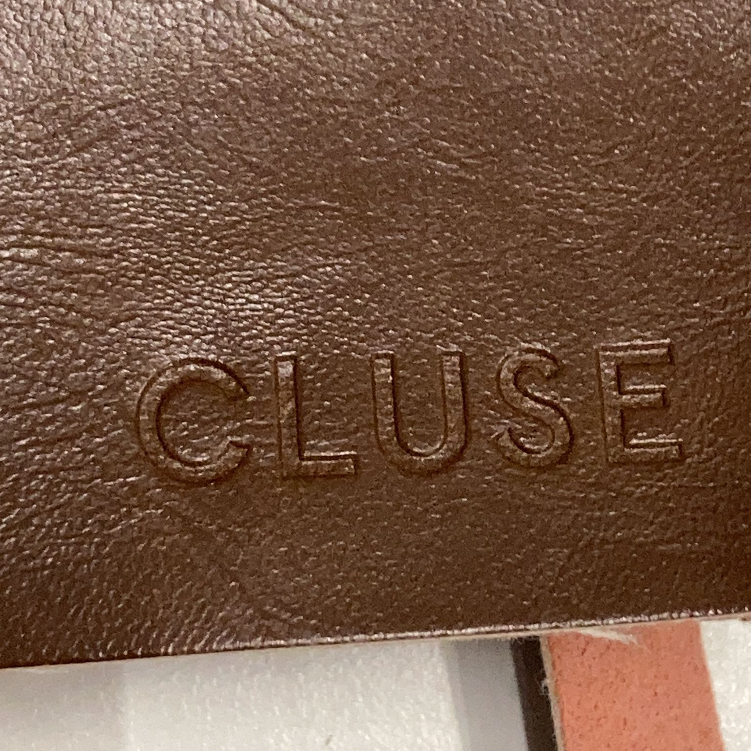 Cluse