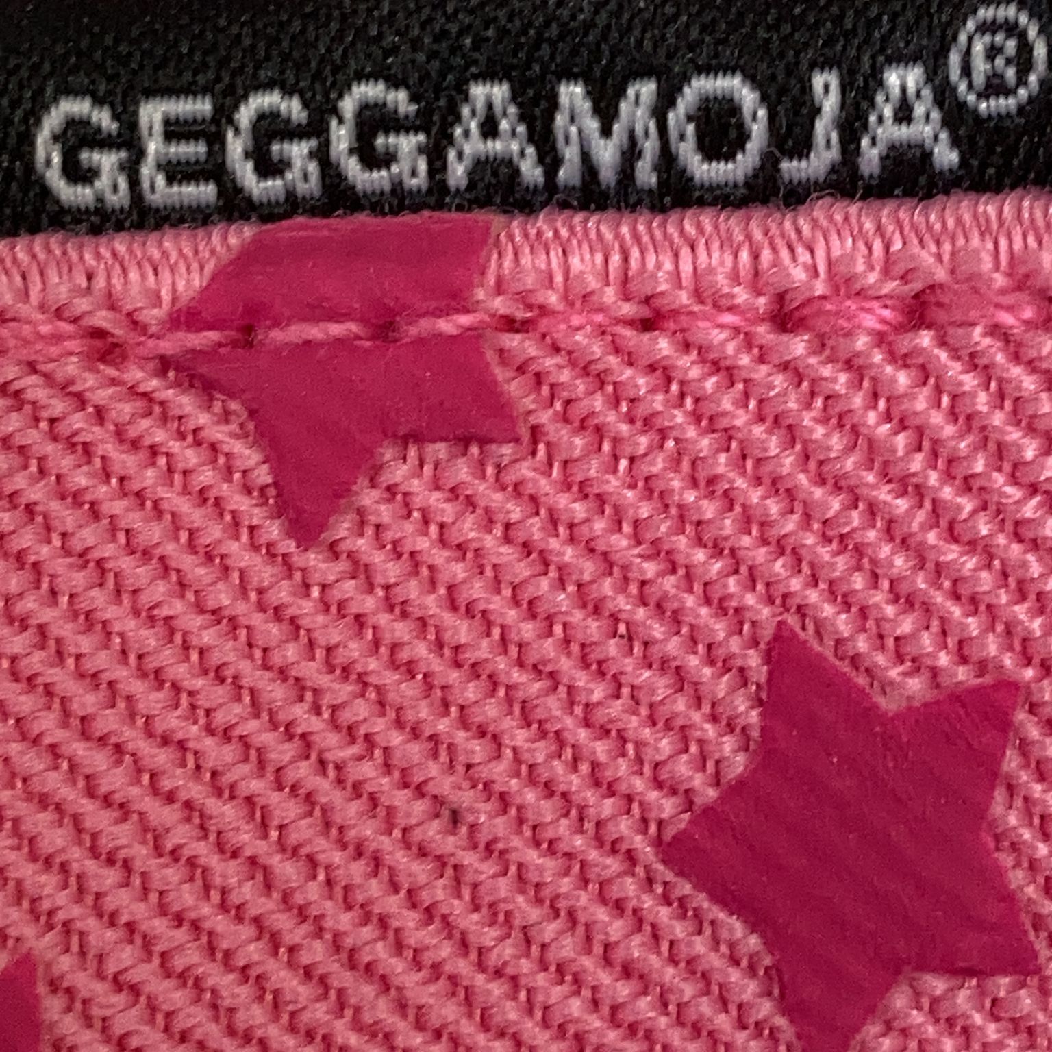 Geggamoja