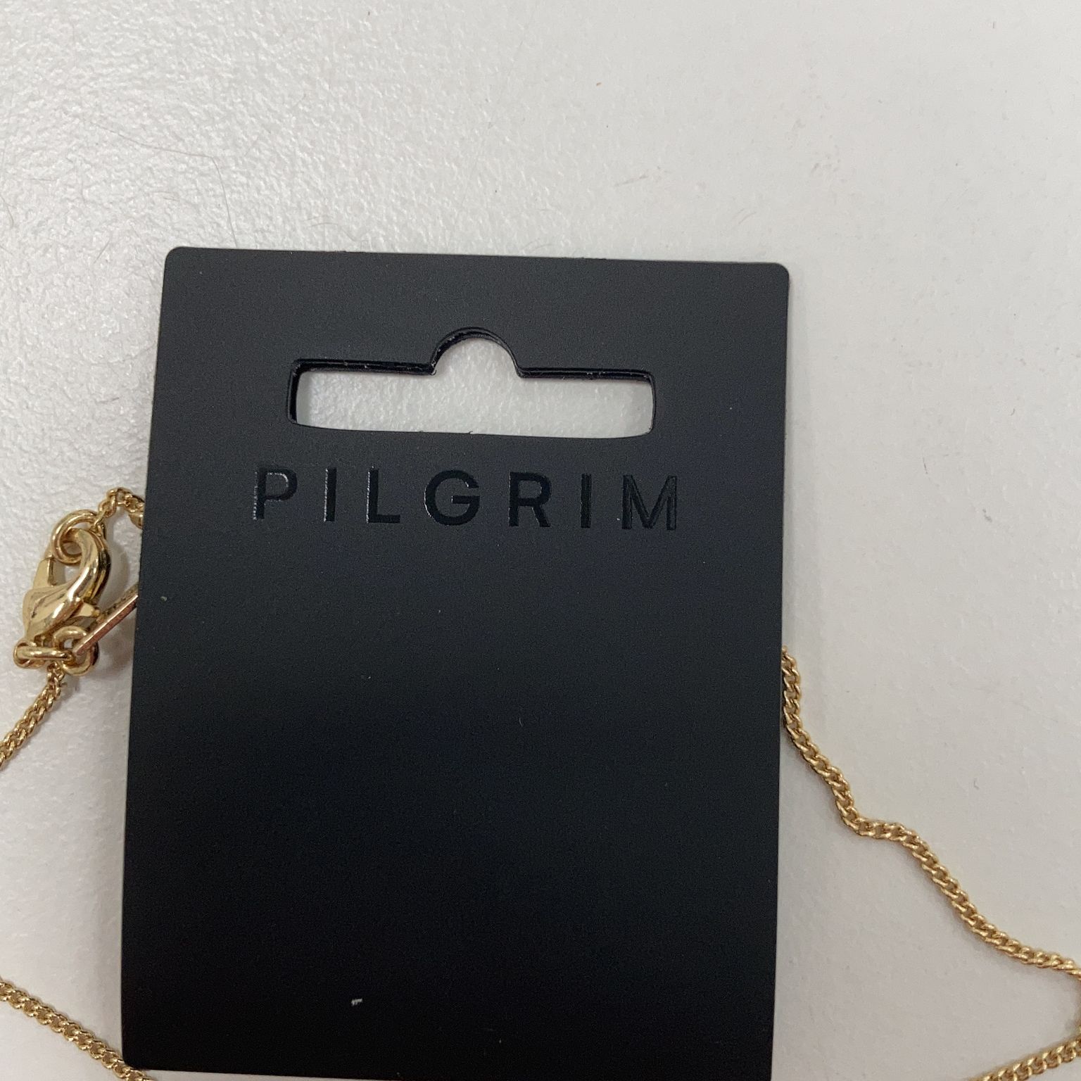 Pilgrim