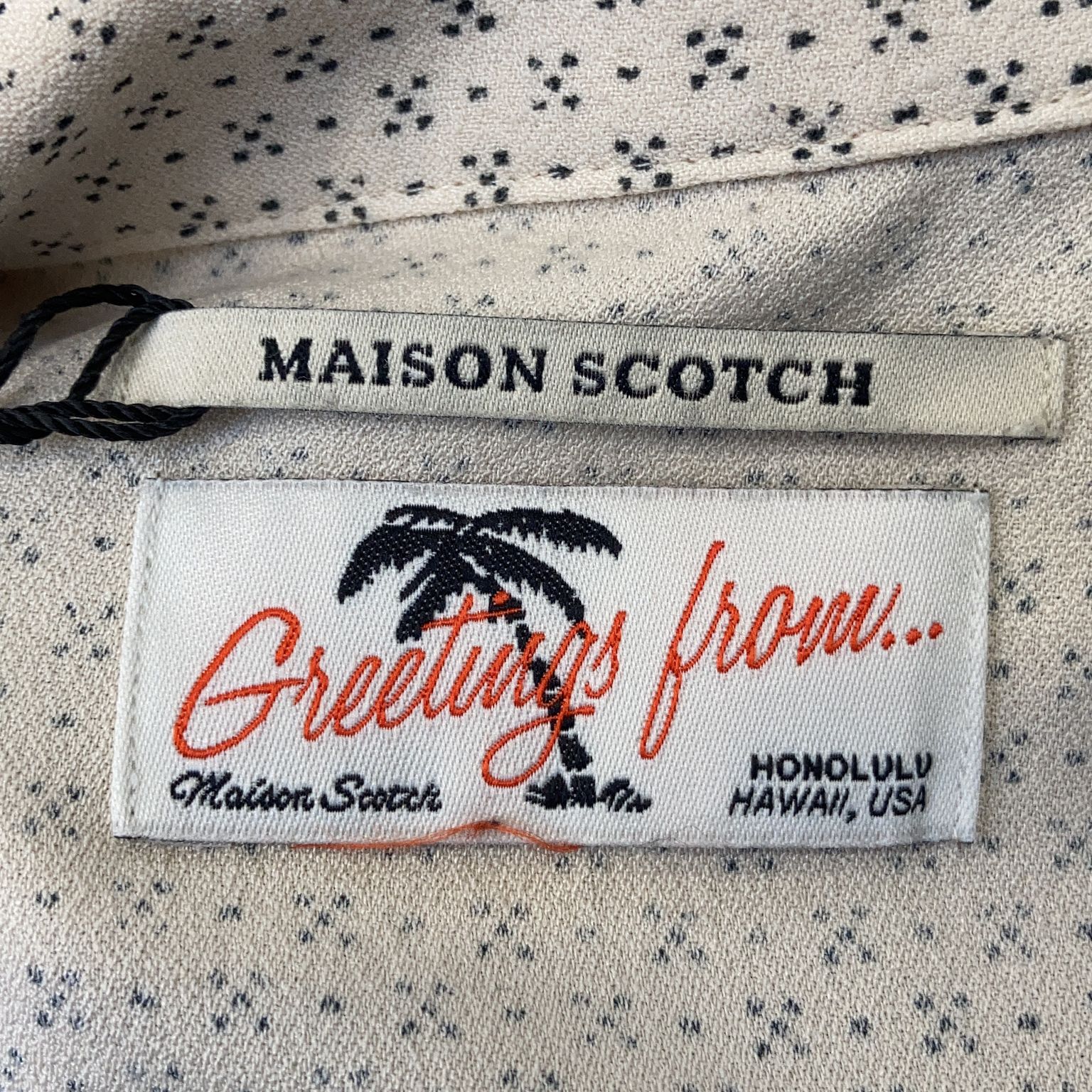 Maison Scotch