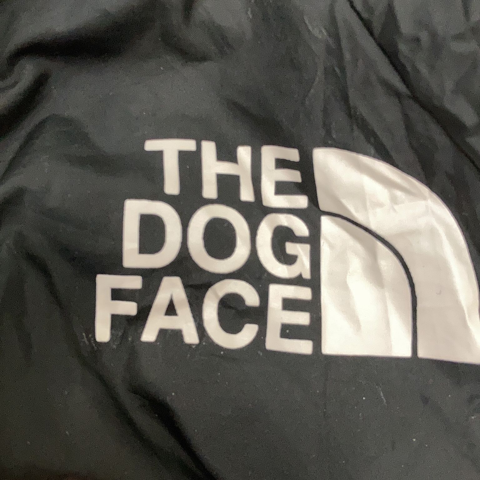 The Dog Face