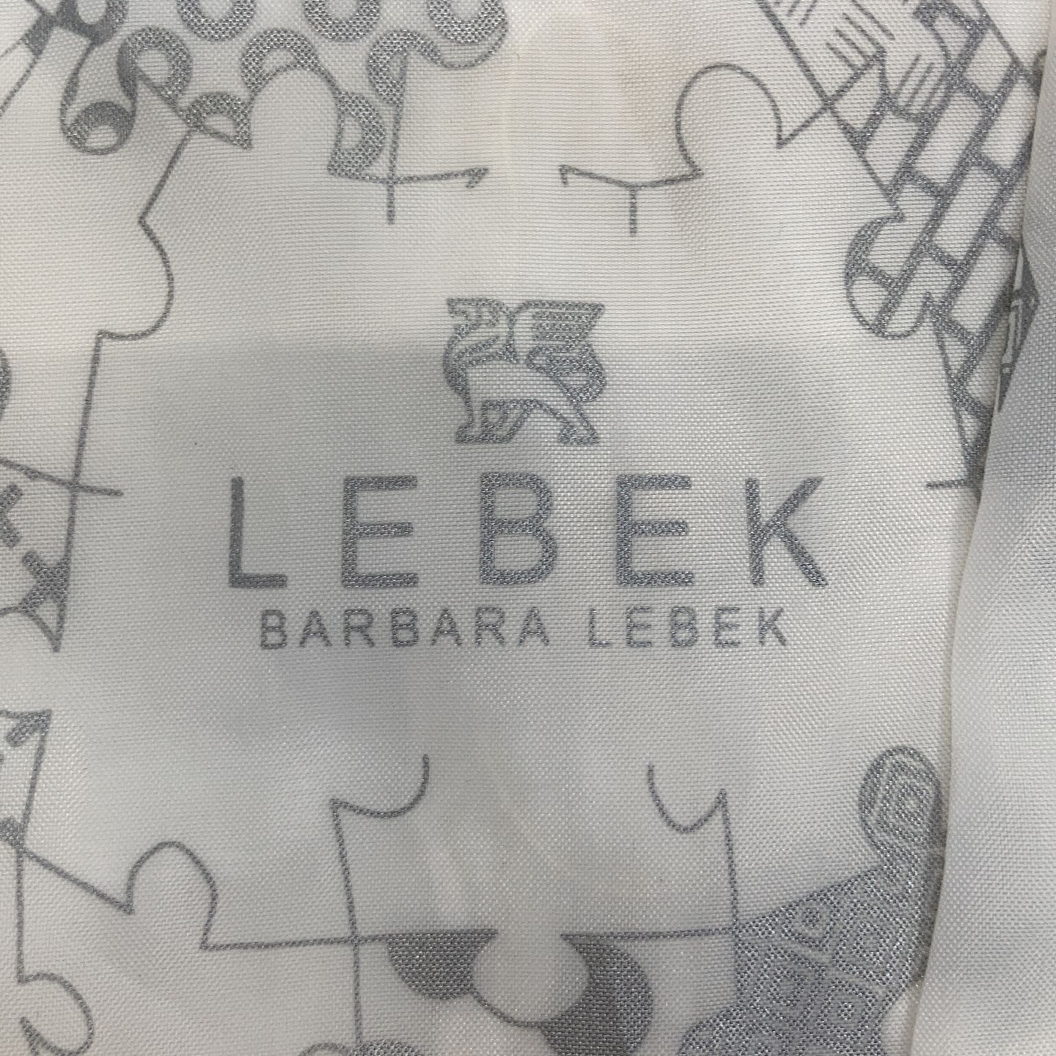 Barbara Lebek