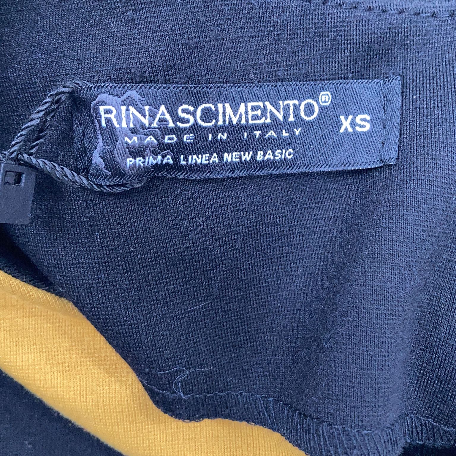 Rinascimento