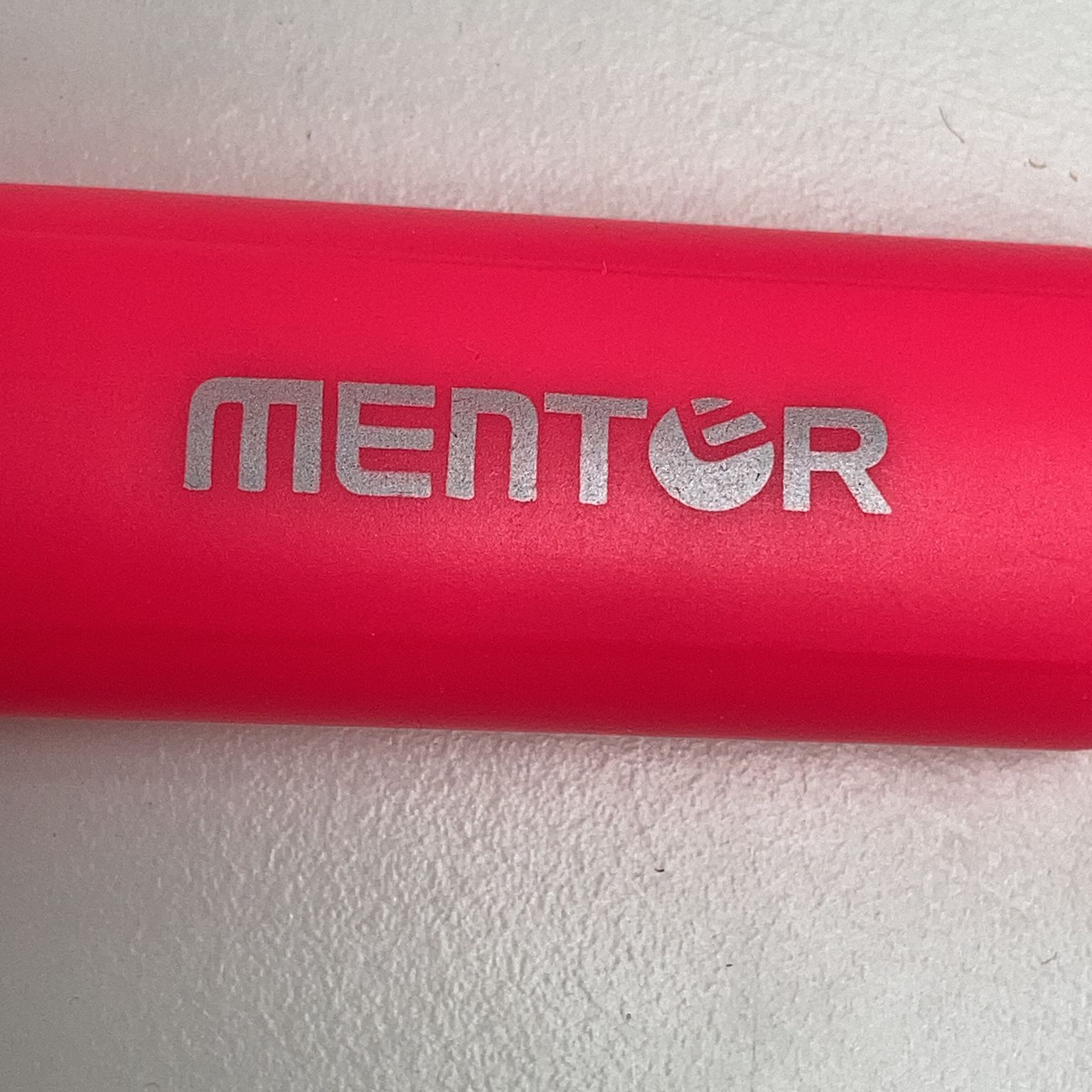 Mentor