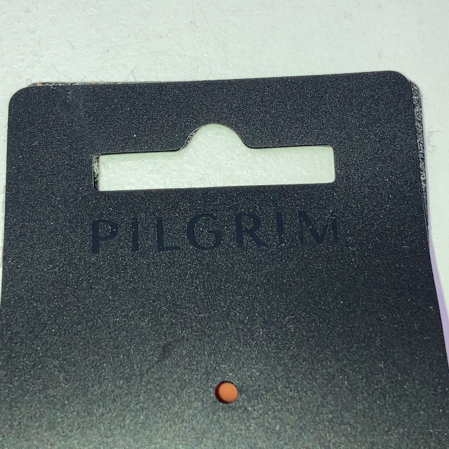 Pilgrim