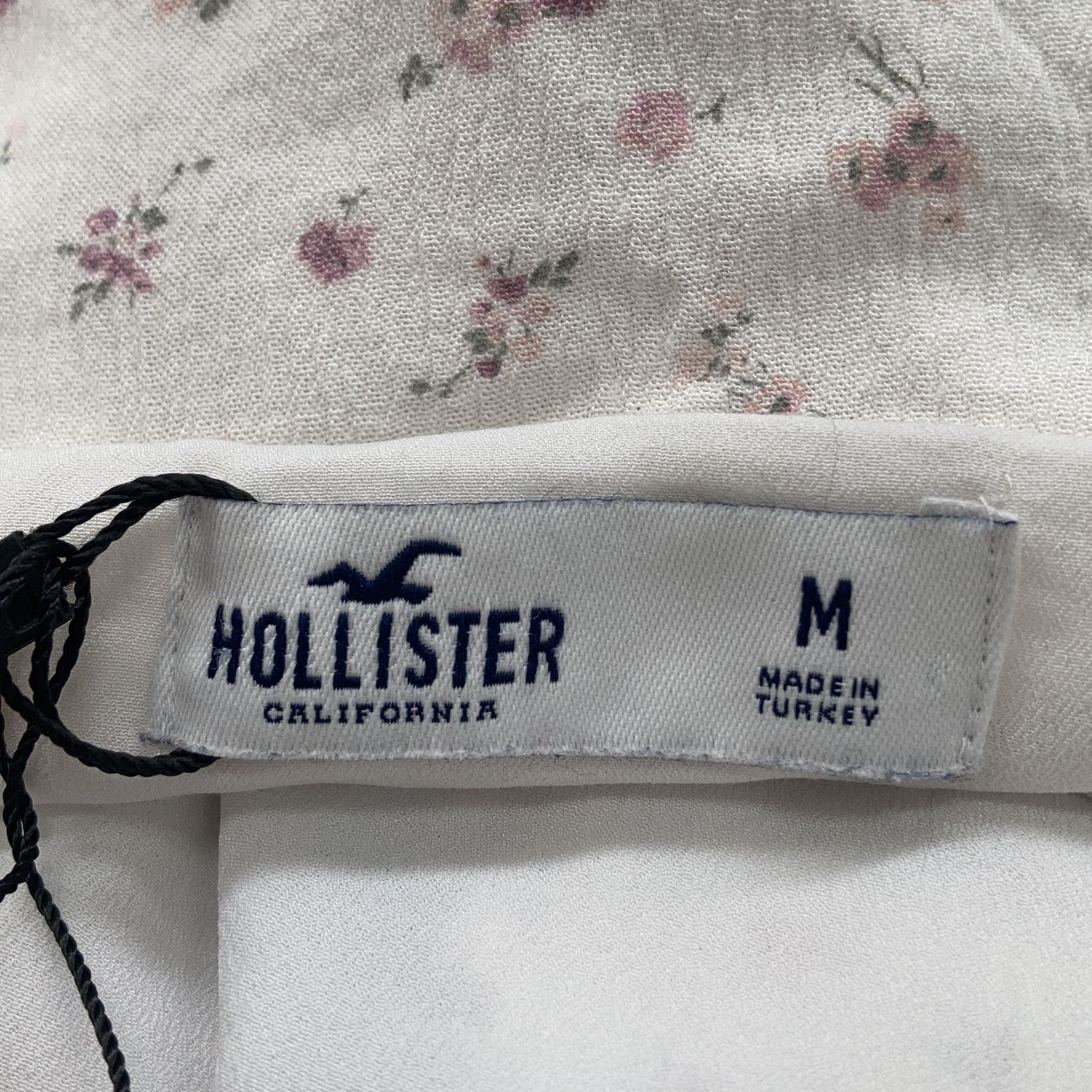 Hollister