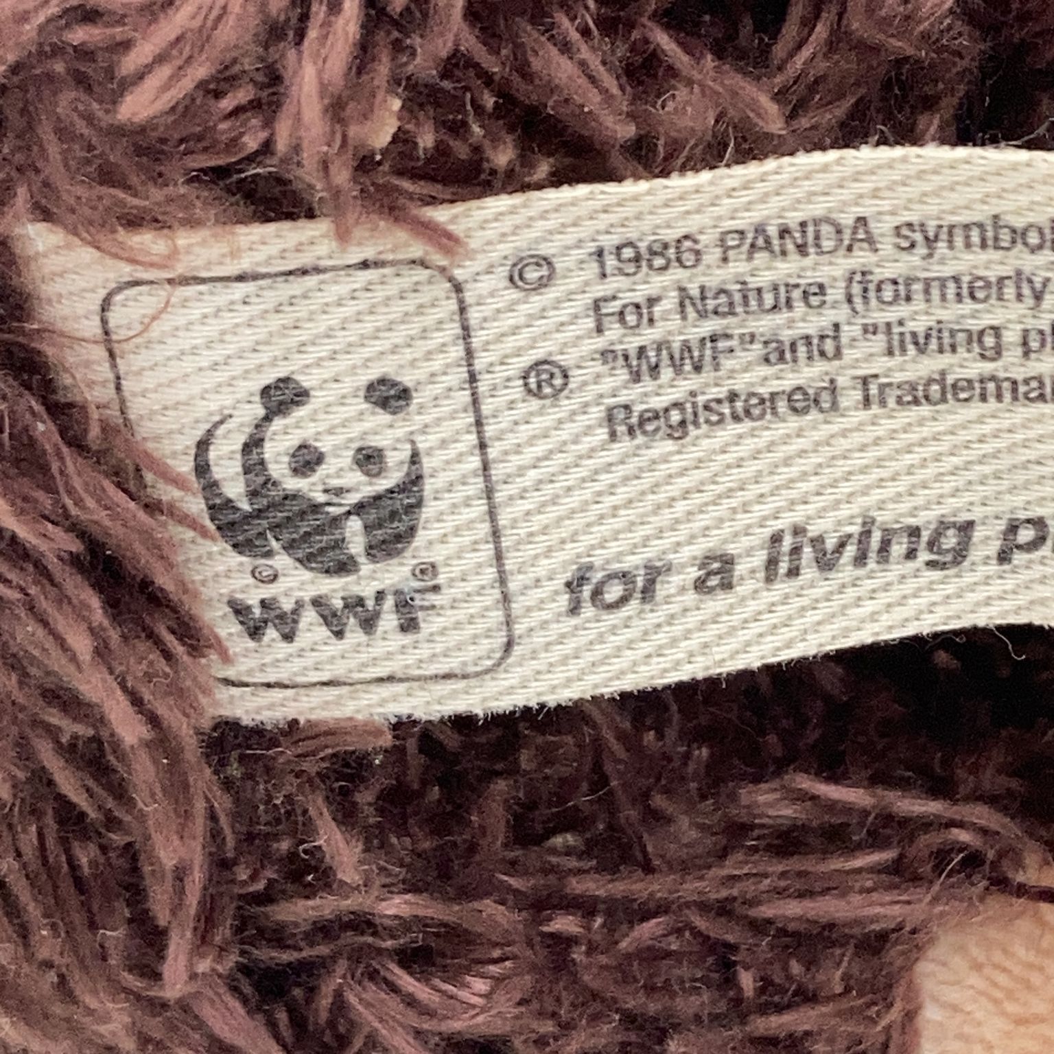 WWF