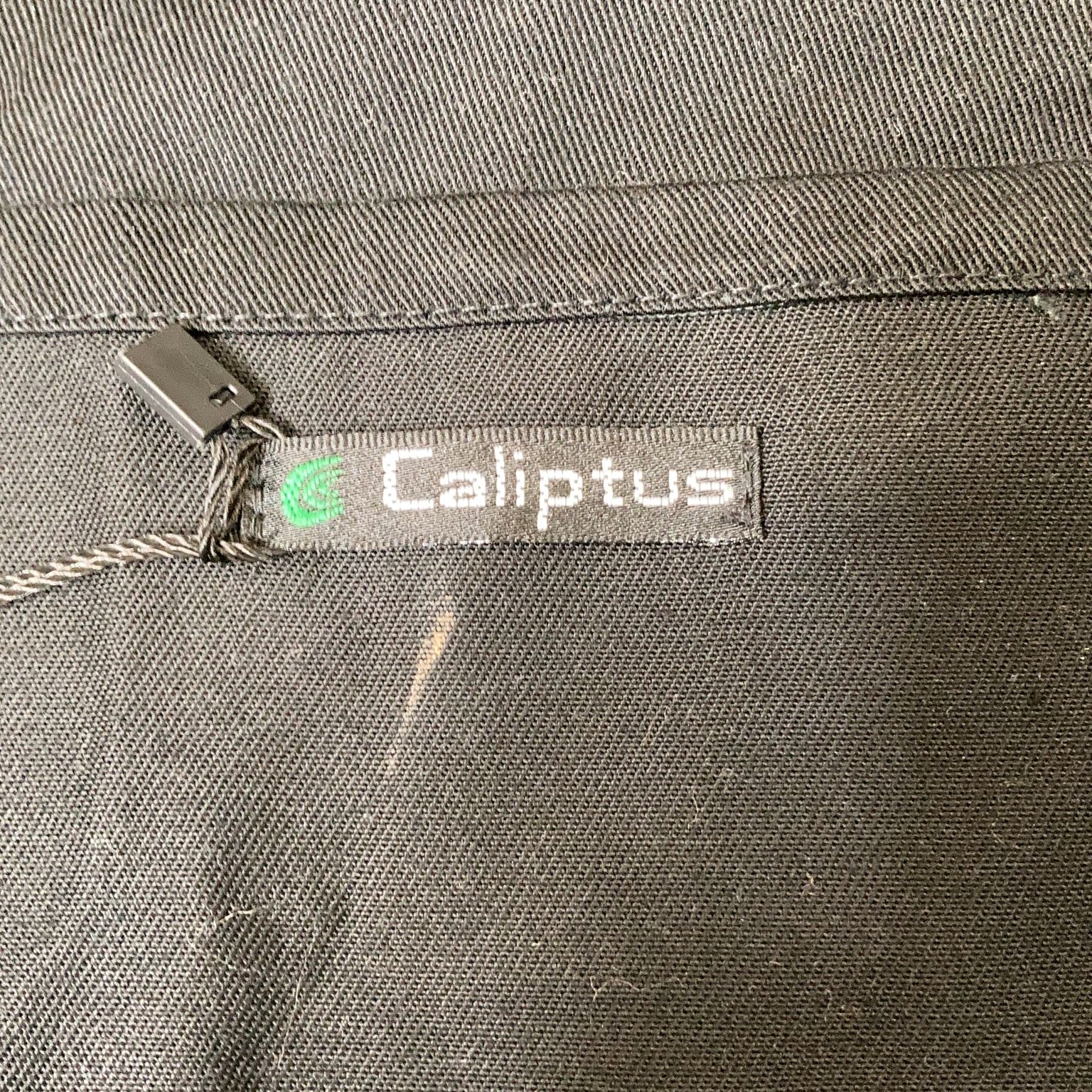 Caliptus