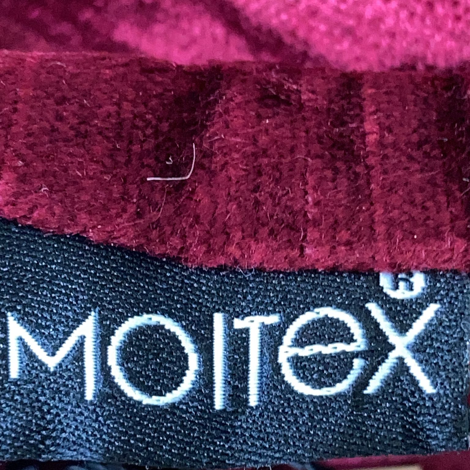 Moltex