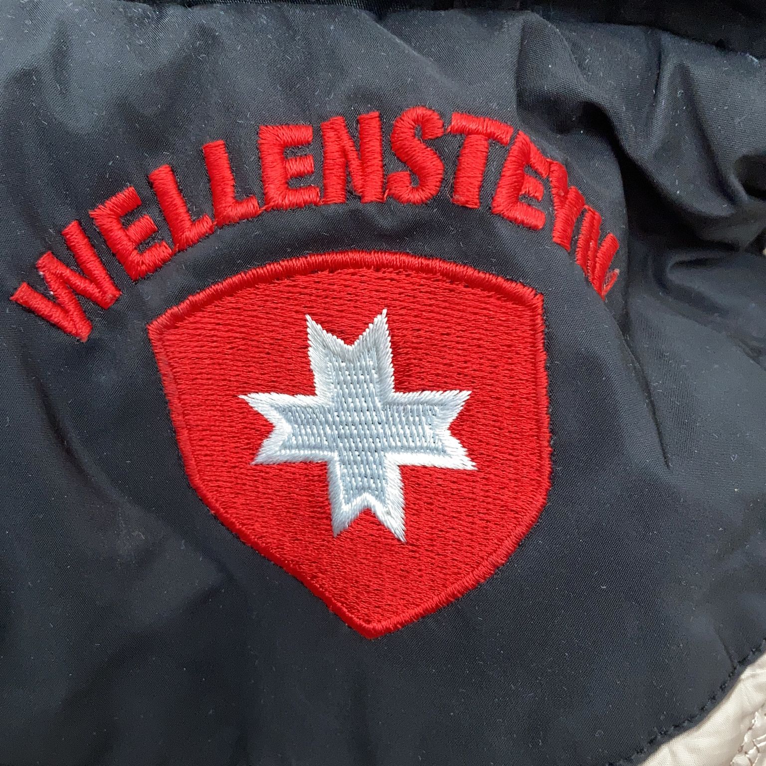 Wellensteyn