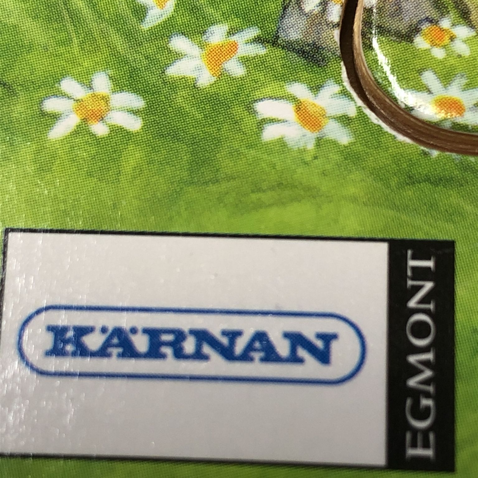 Kärnan