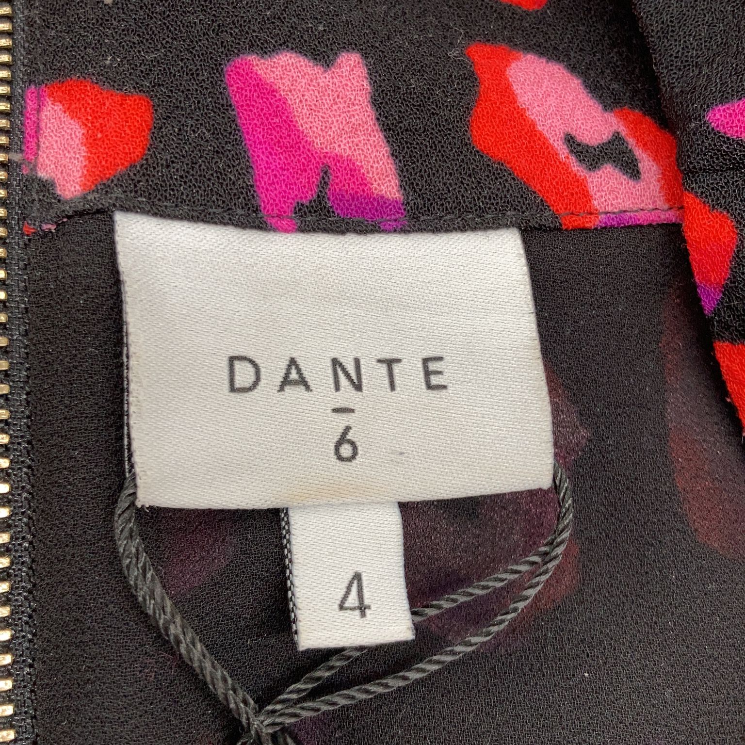 Dante 6