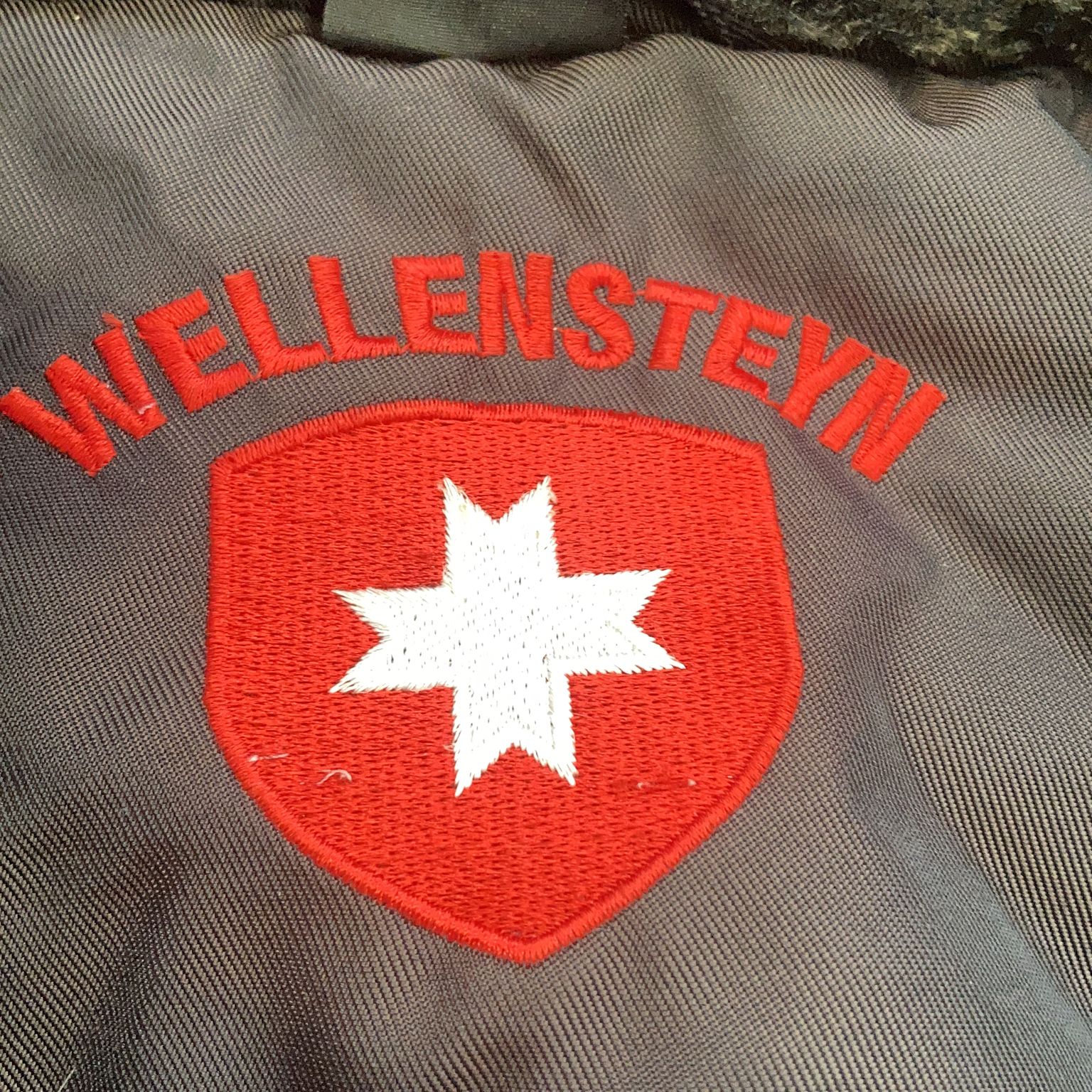 Wellensteyn