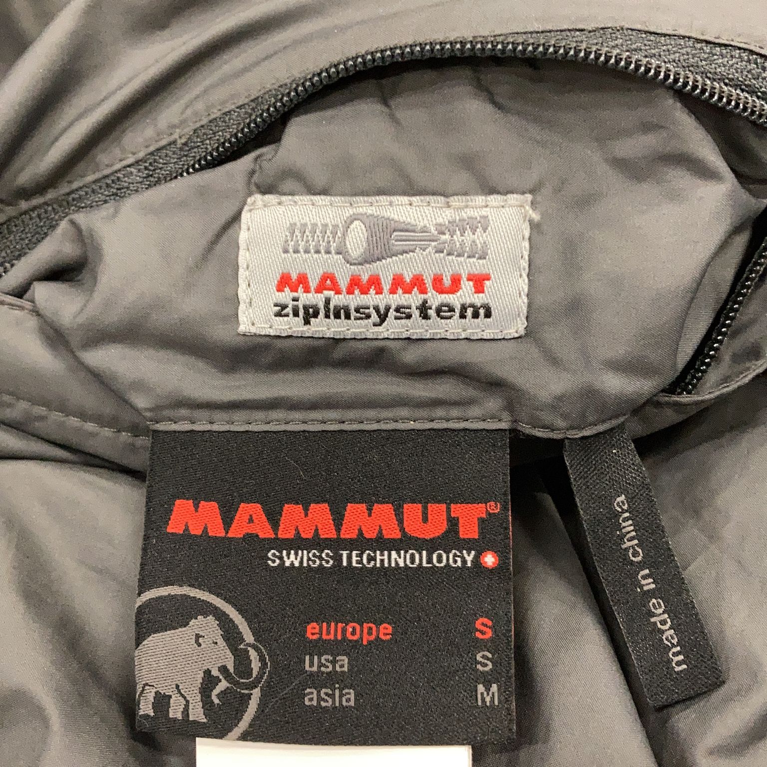 Mammut