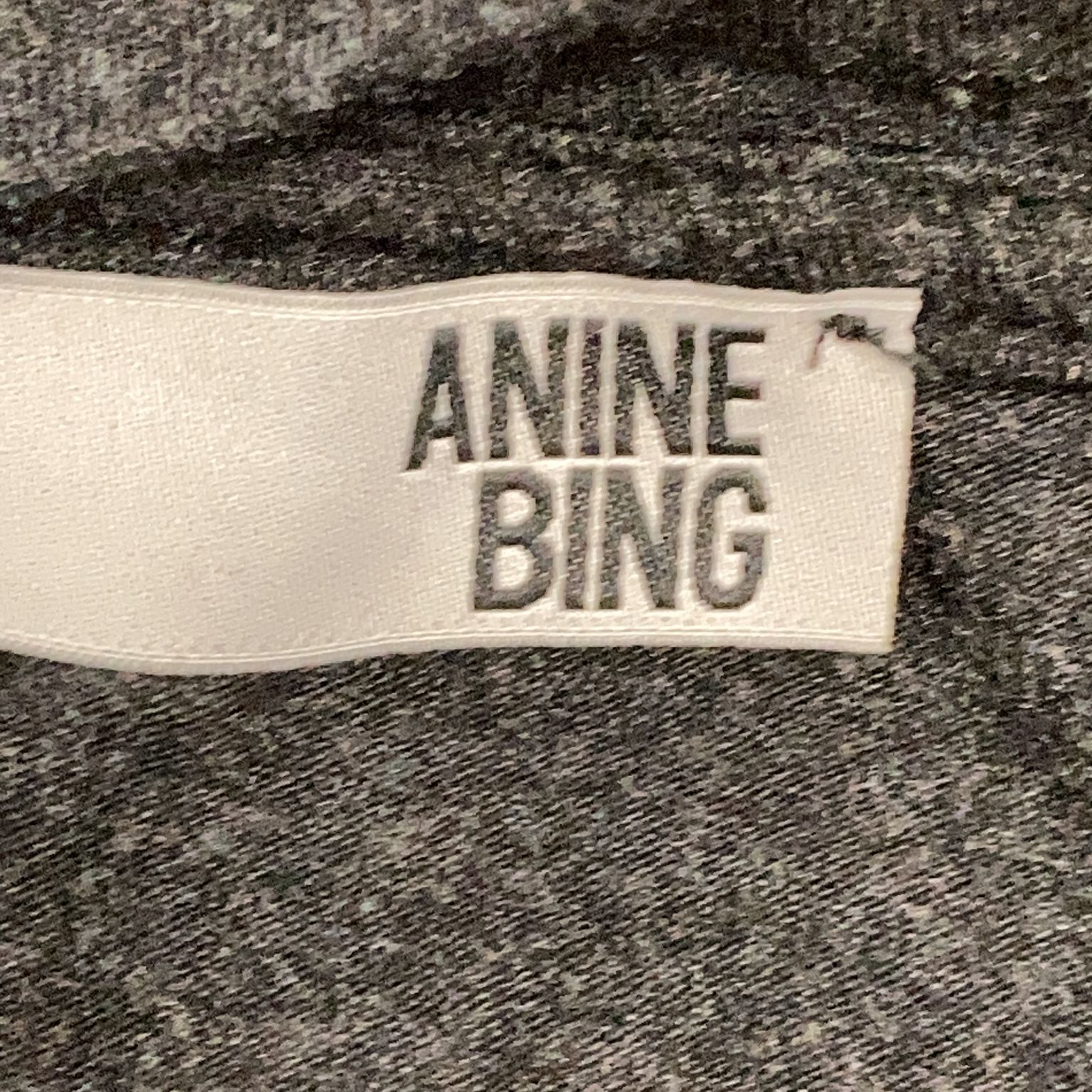 Anine Bing