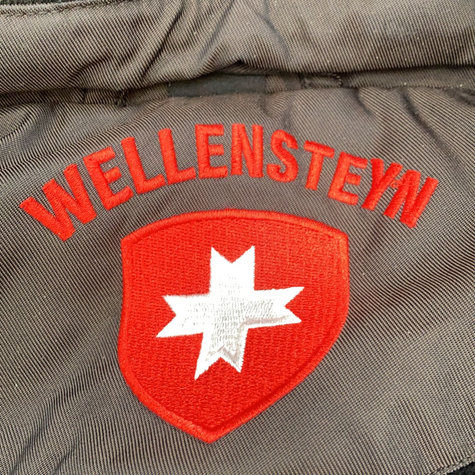 Wellensteyn