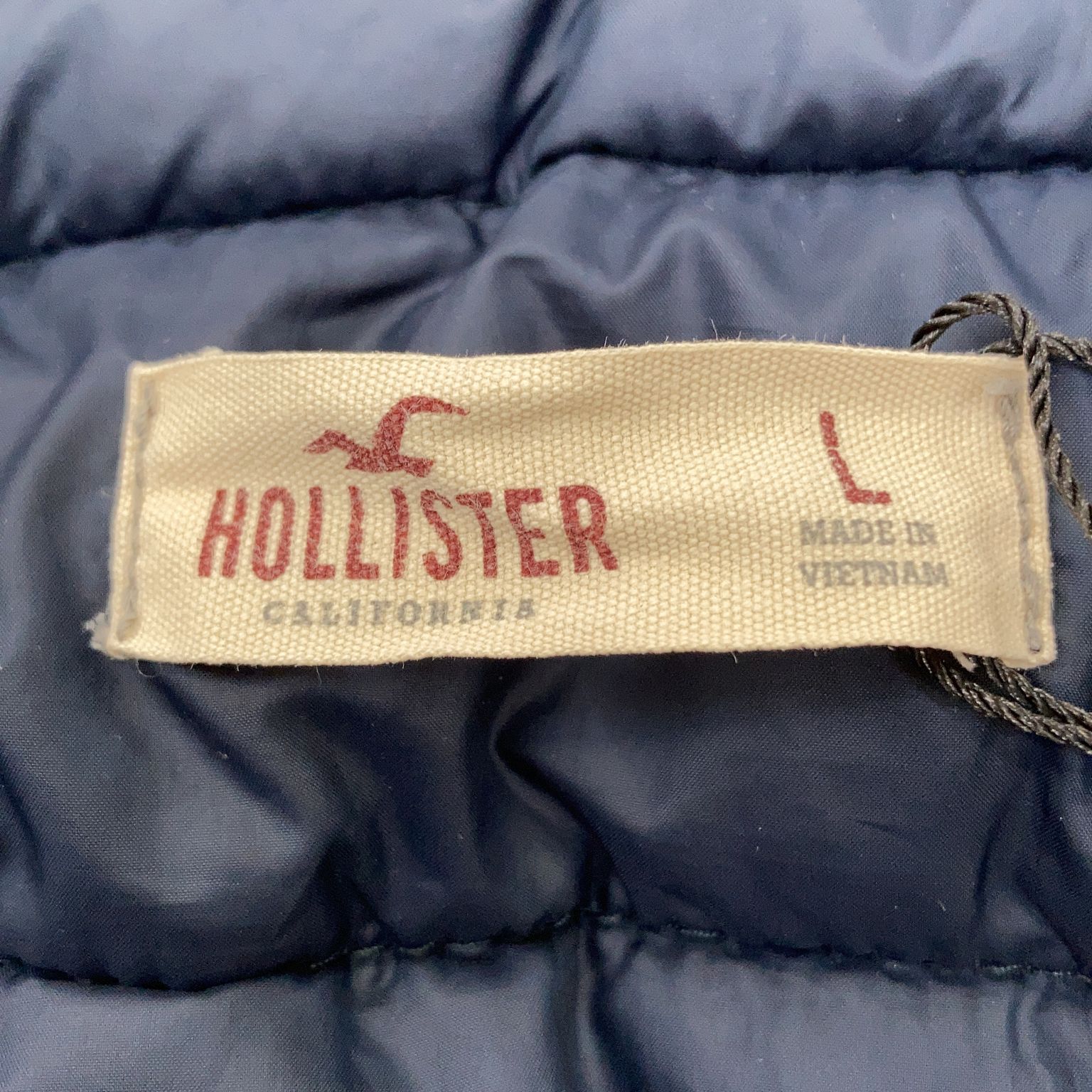 Hollister