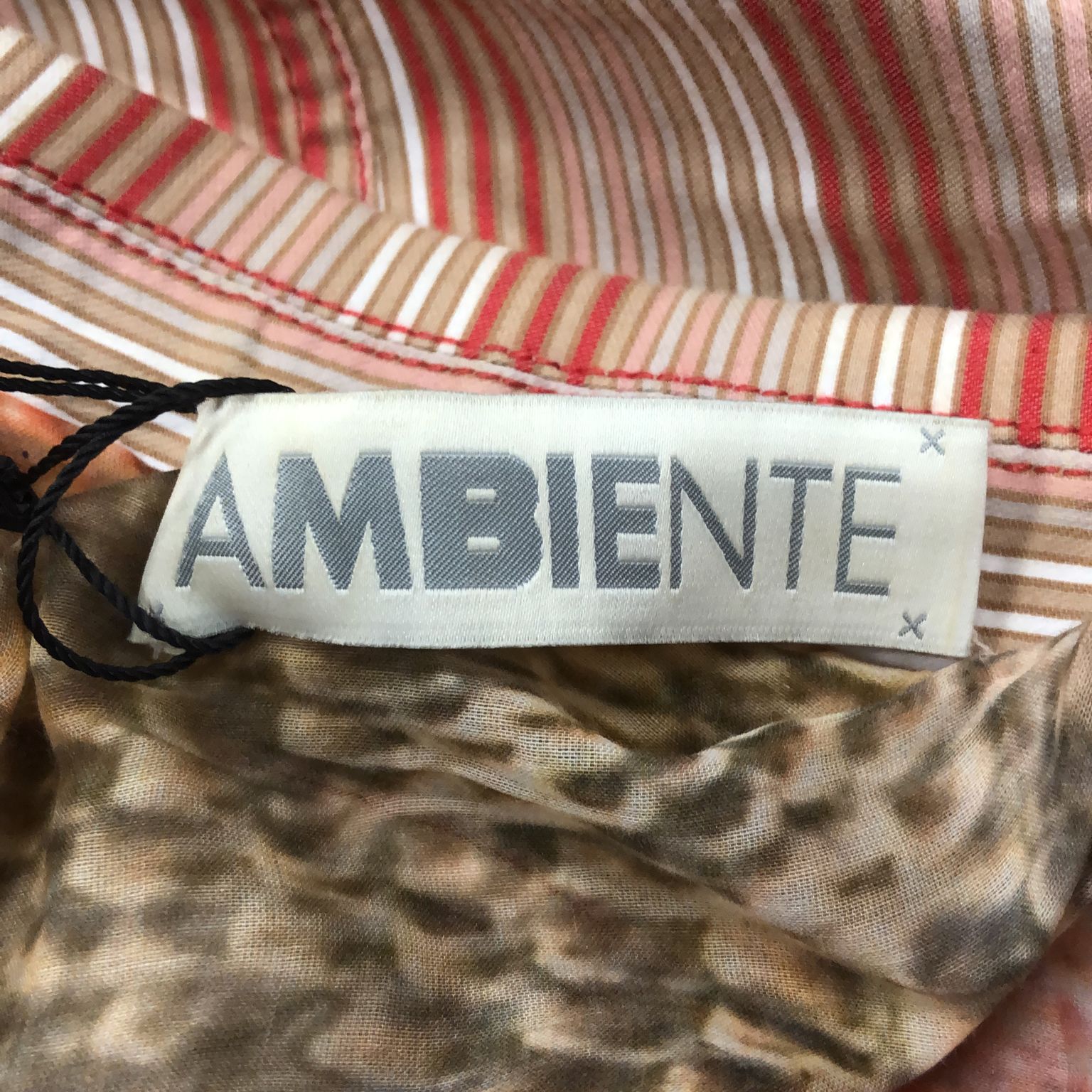 Ambiente