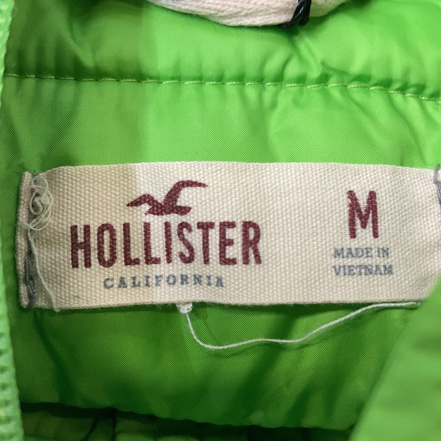 Hollister