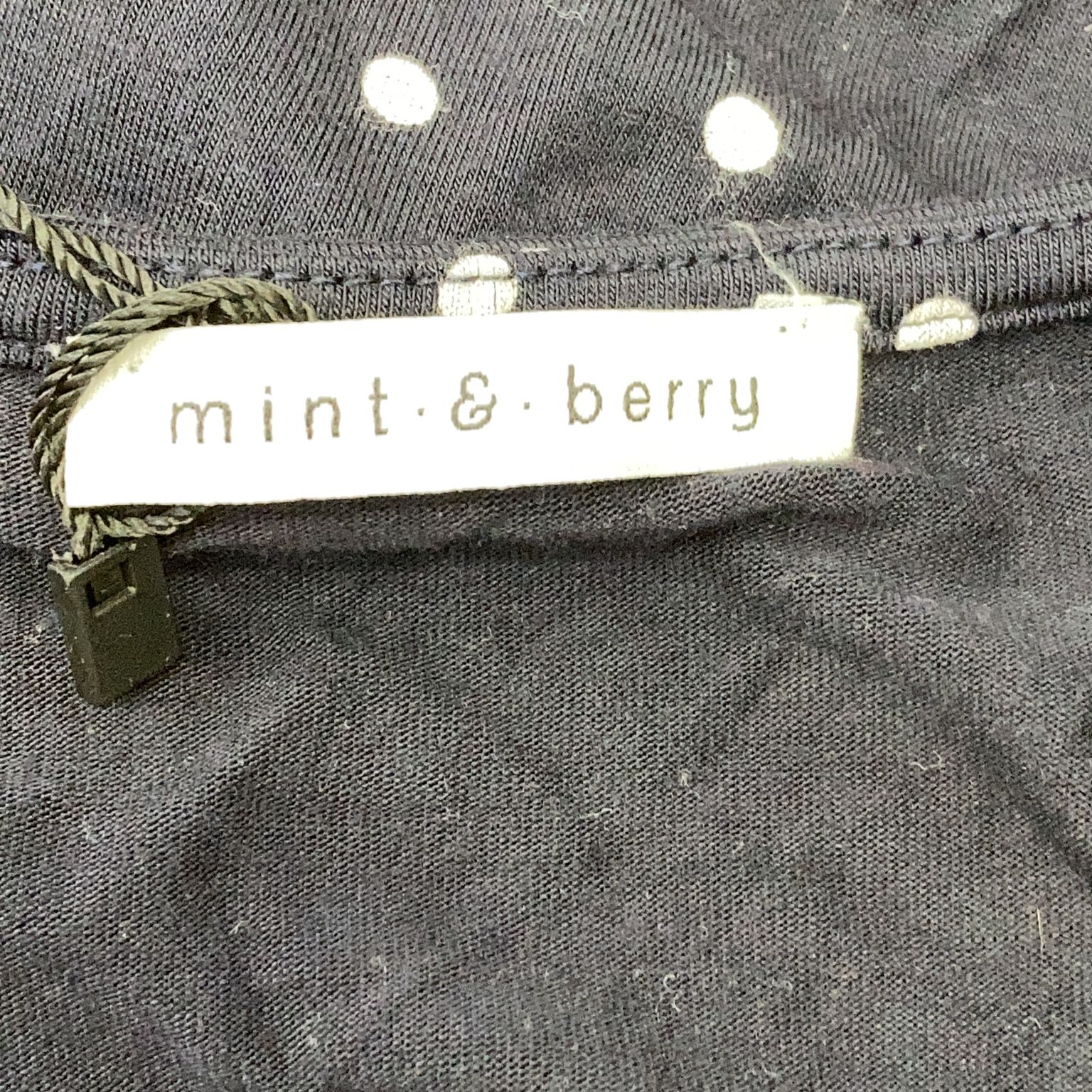 Mint  Berry