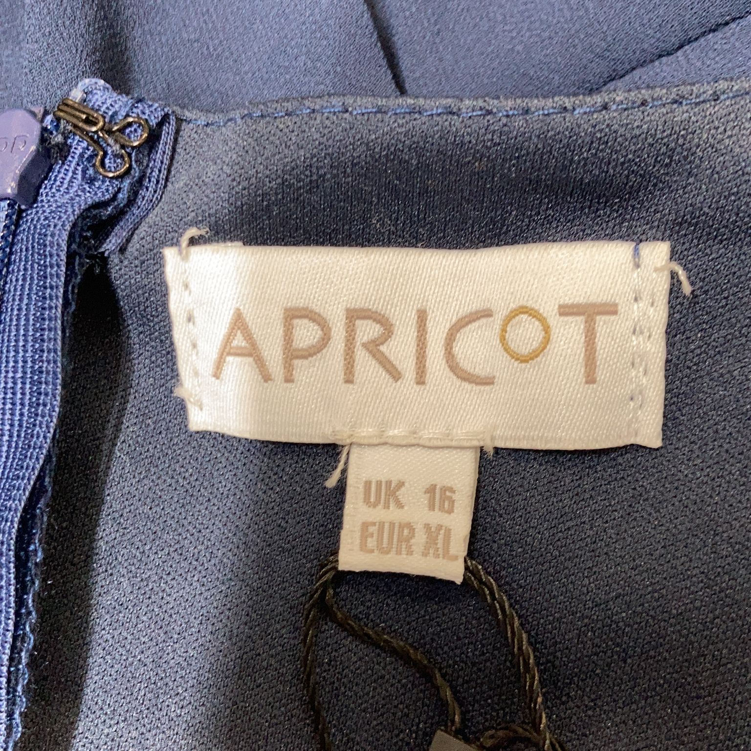 Apricot