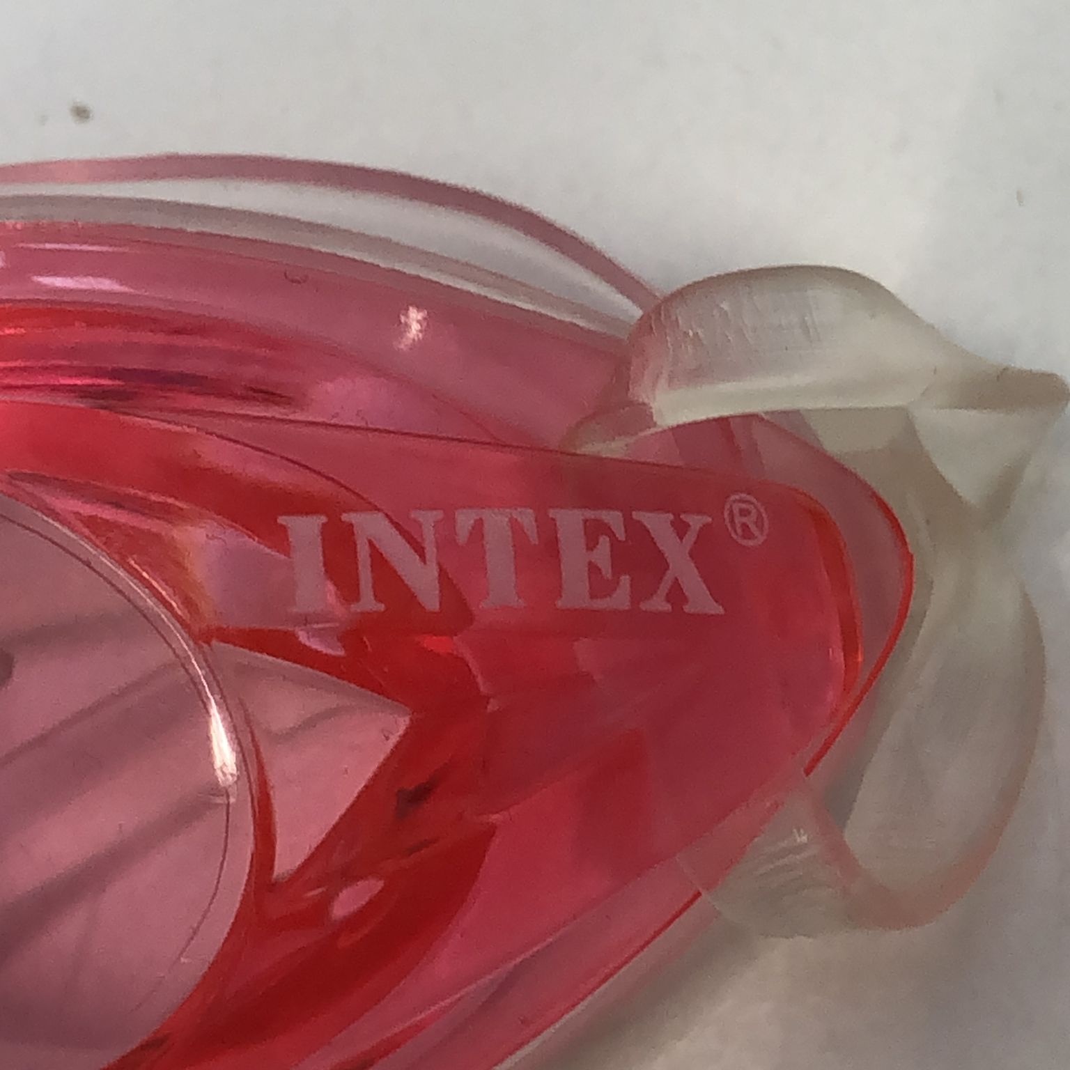 Intex