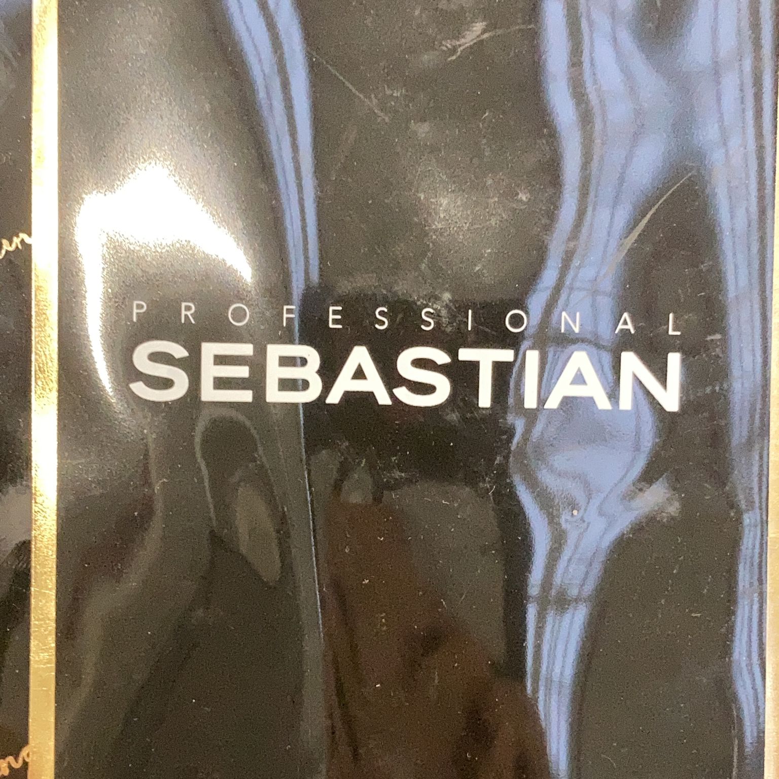 Professional Sebastian