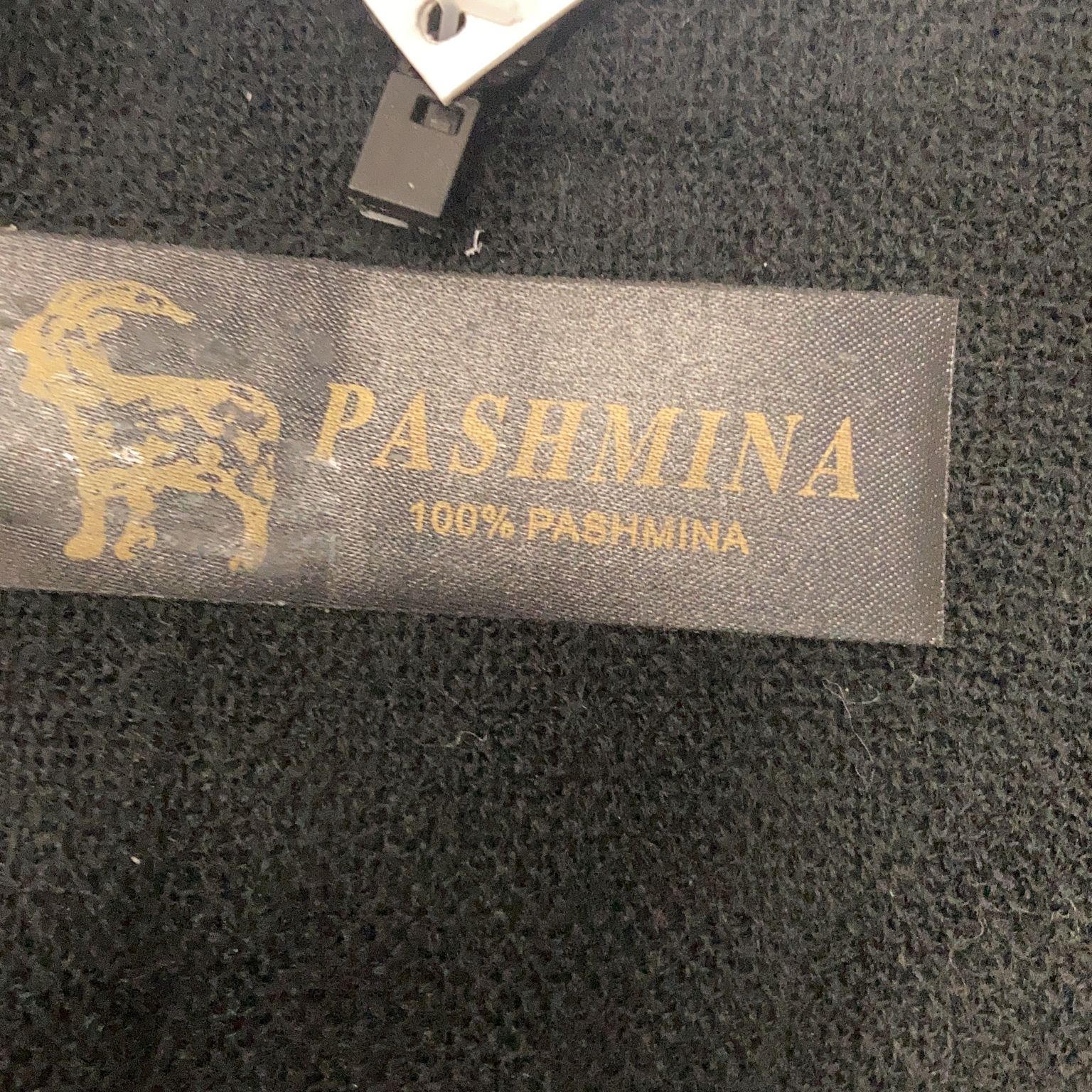 Pashmina