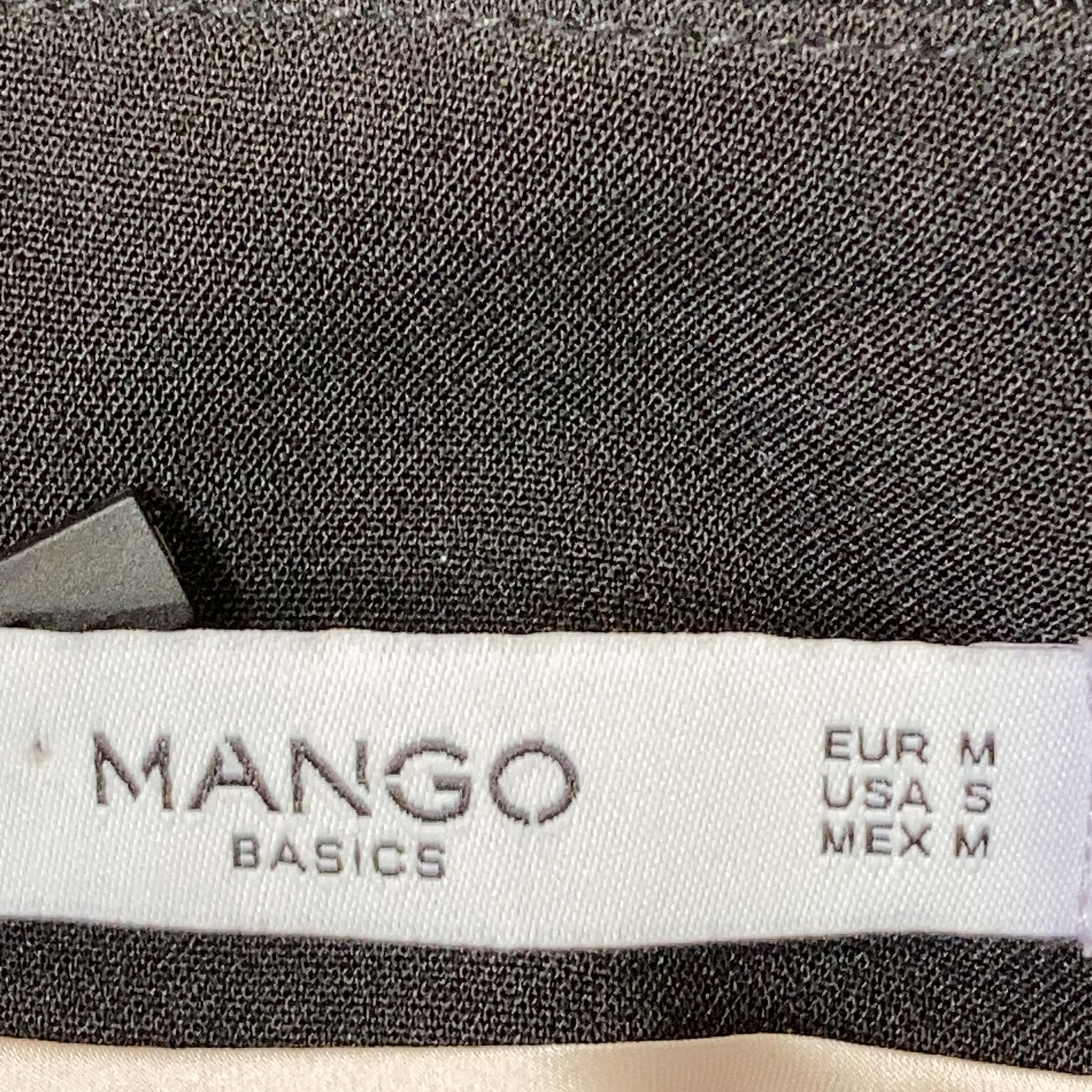 Mango Basics