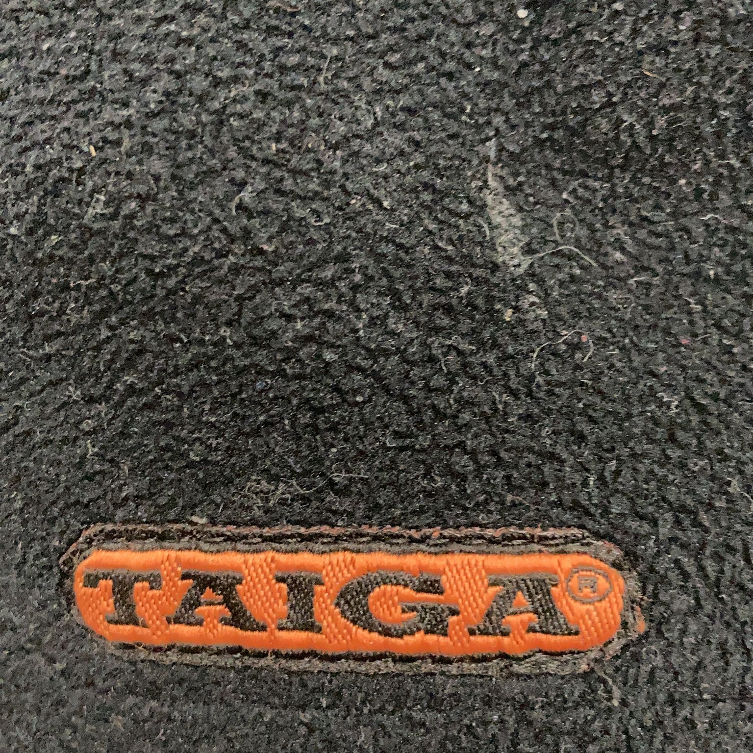 Taiga