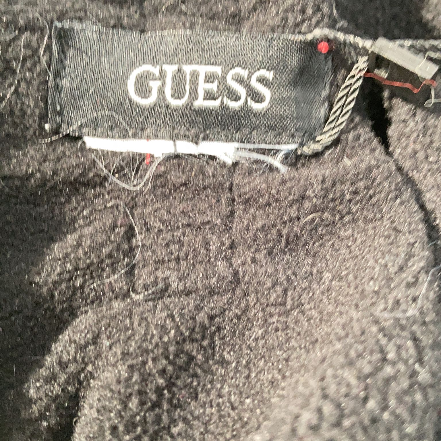 Guess