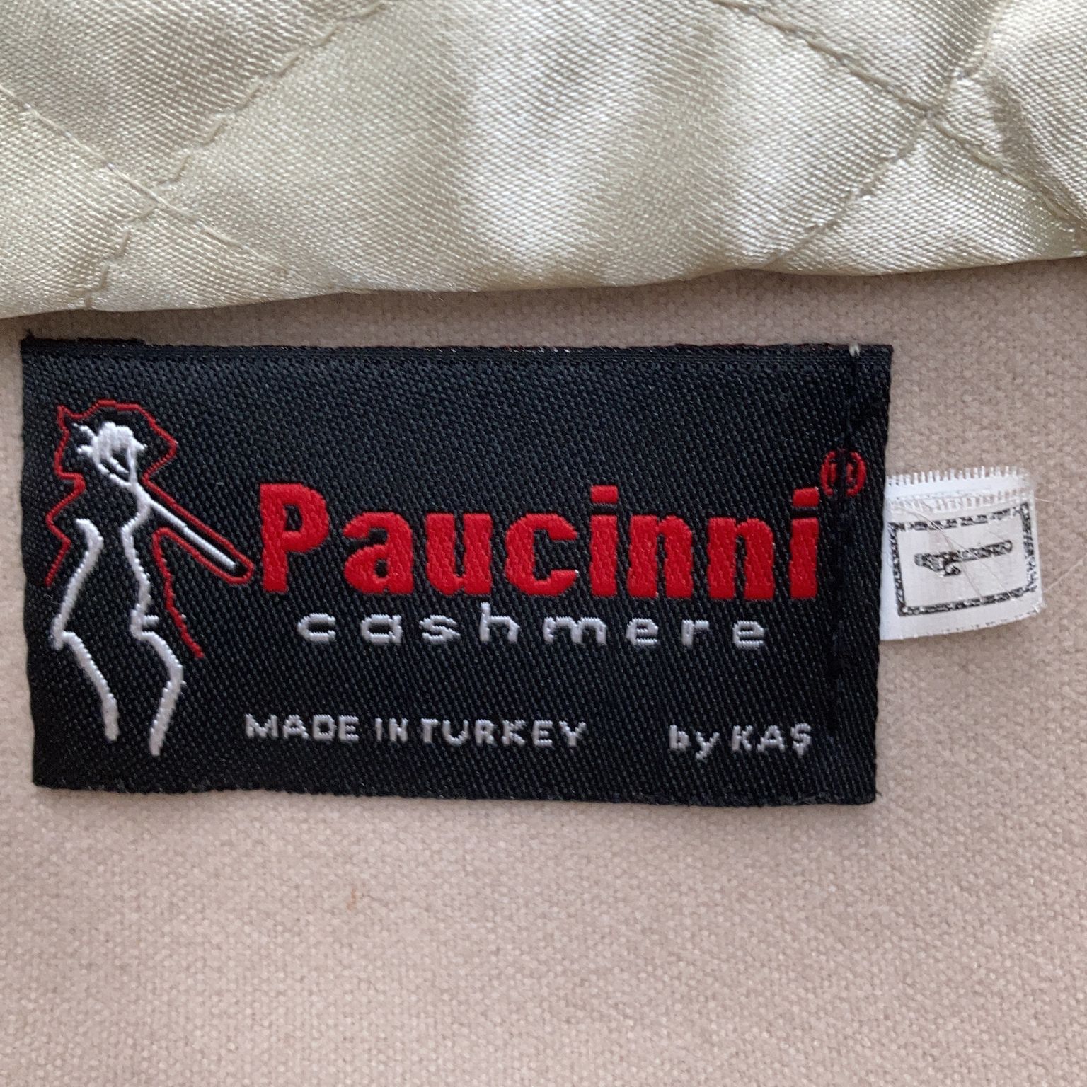 Paucinni