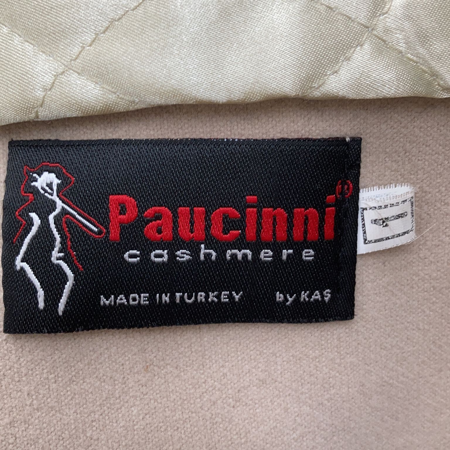 Paucinni