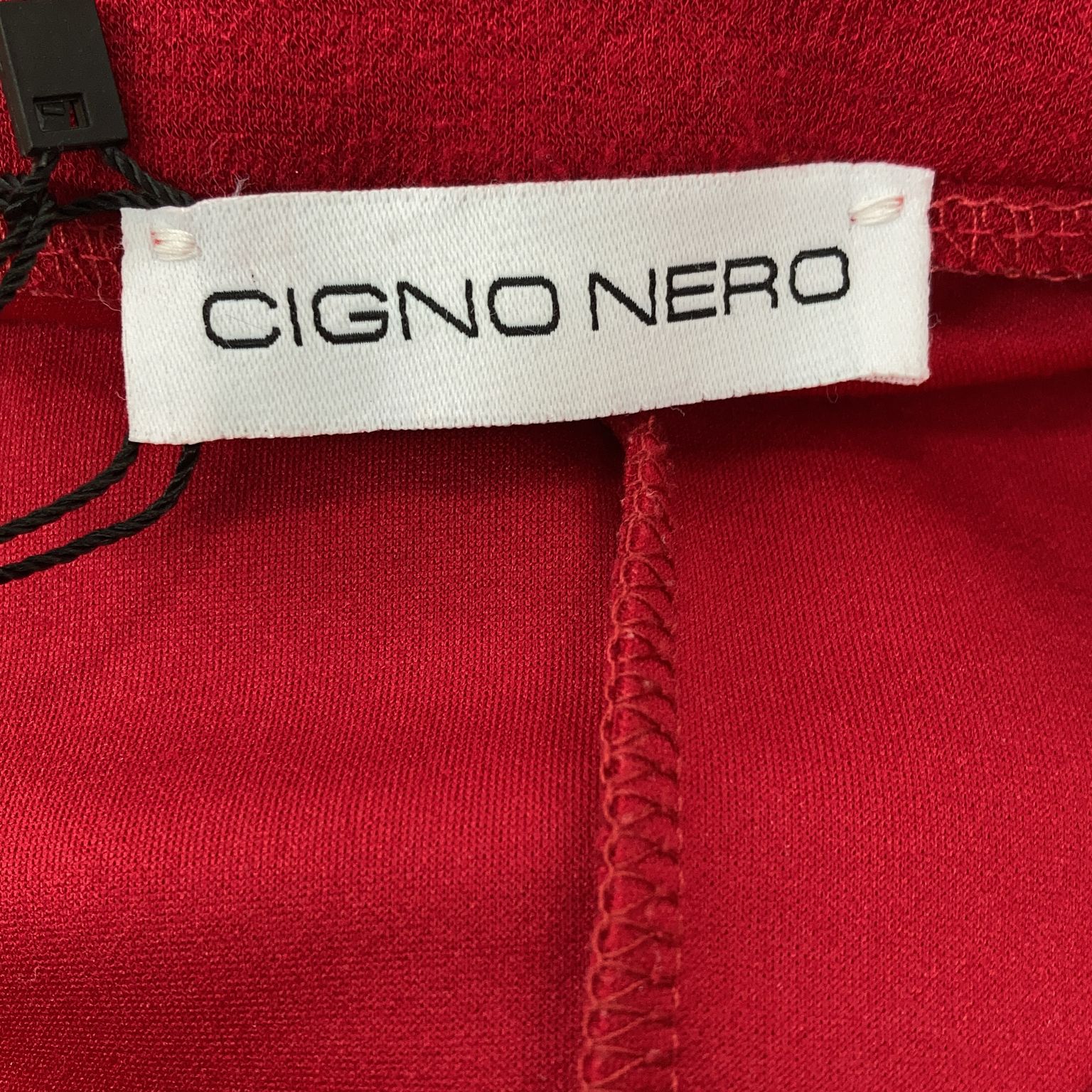 Cigno Nero