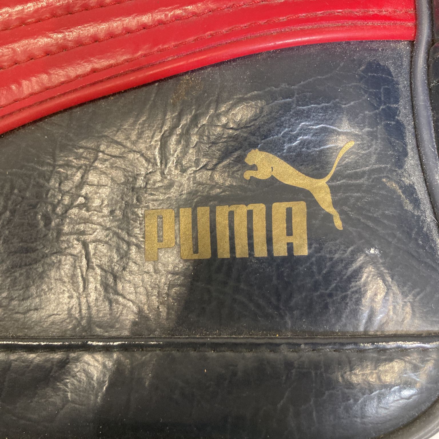 Puma