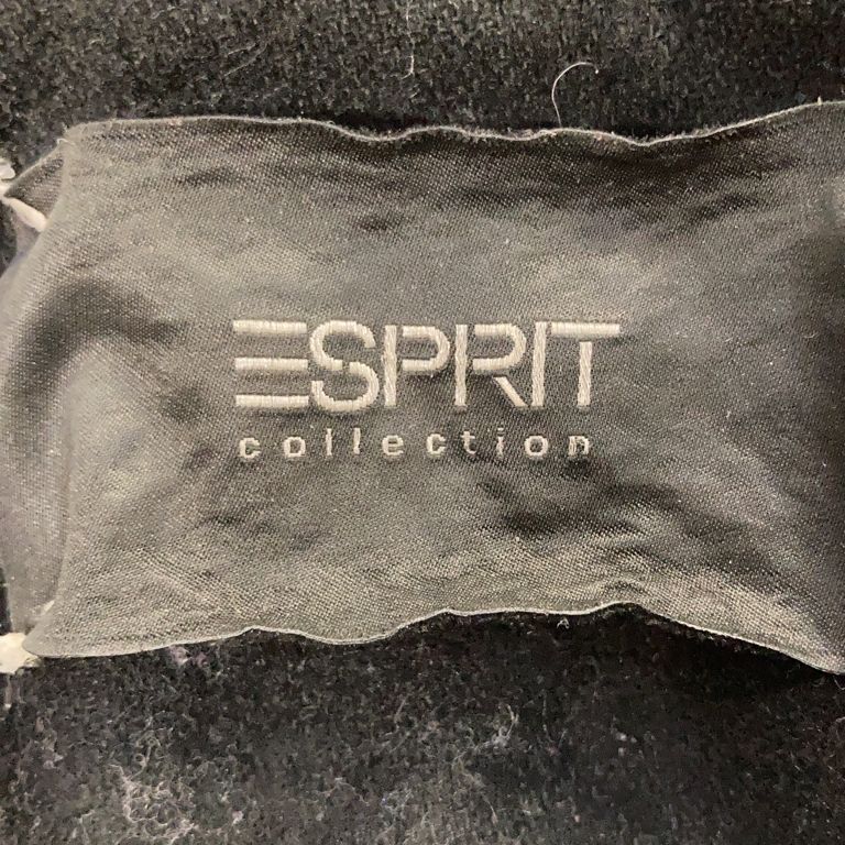 ESPRIT Collection