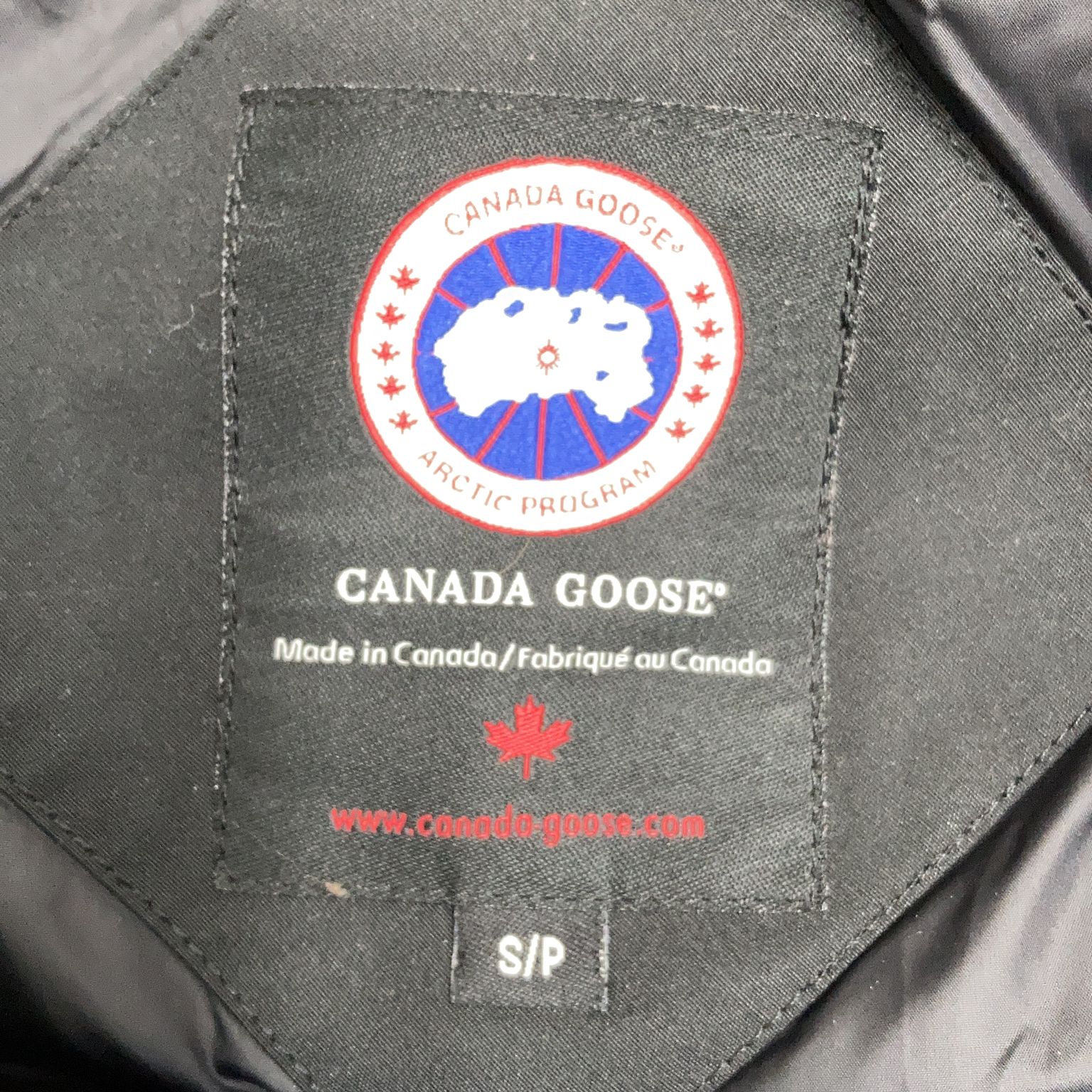 Canada Goose