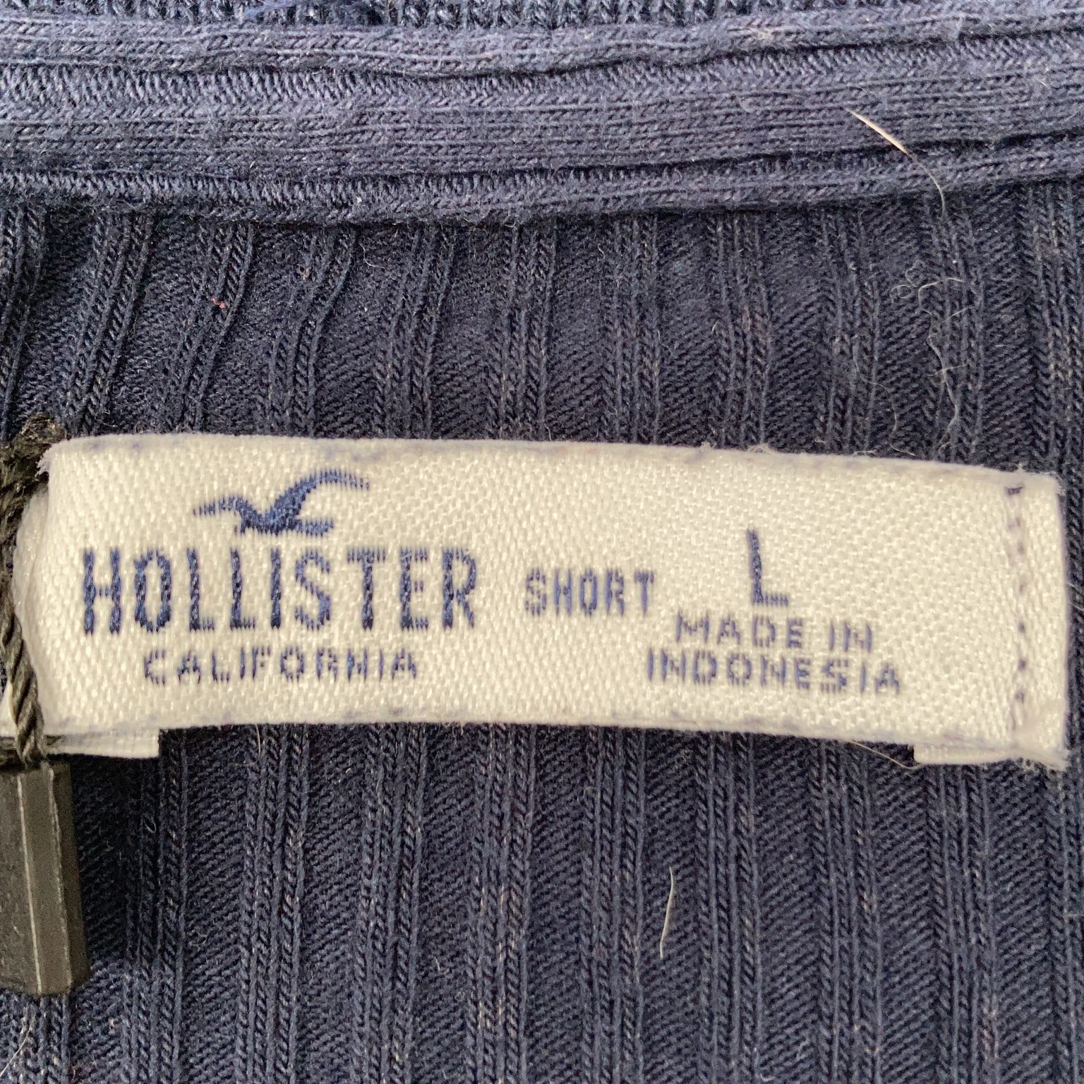 Hollister