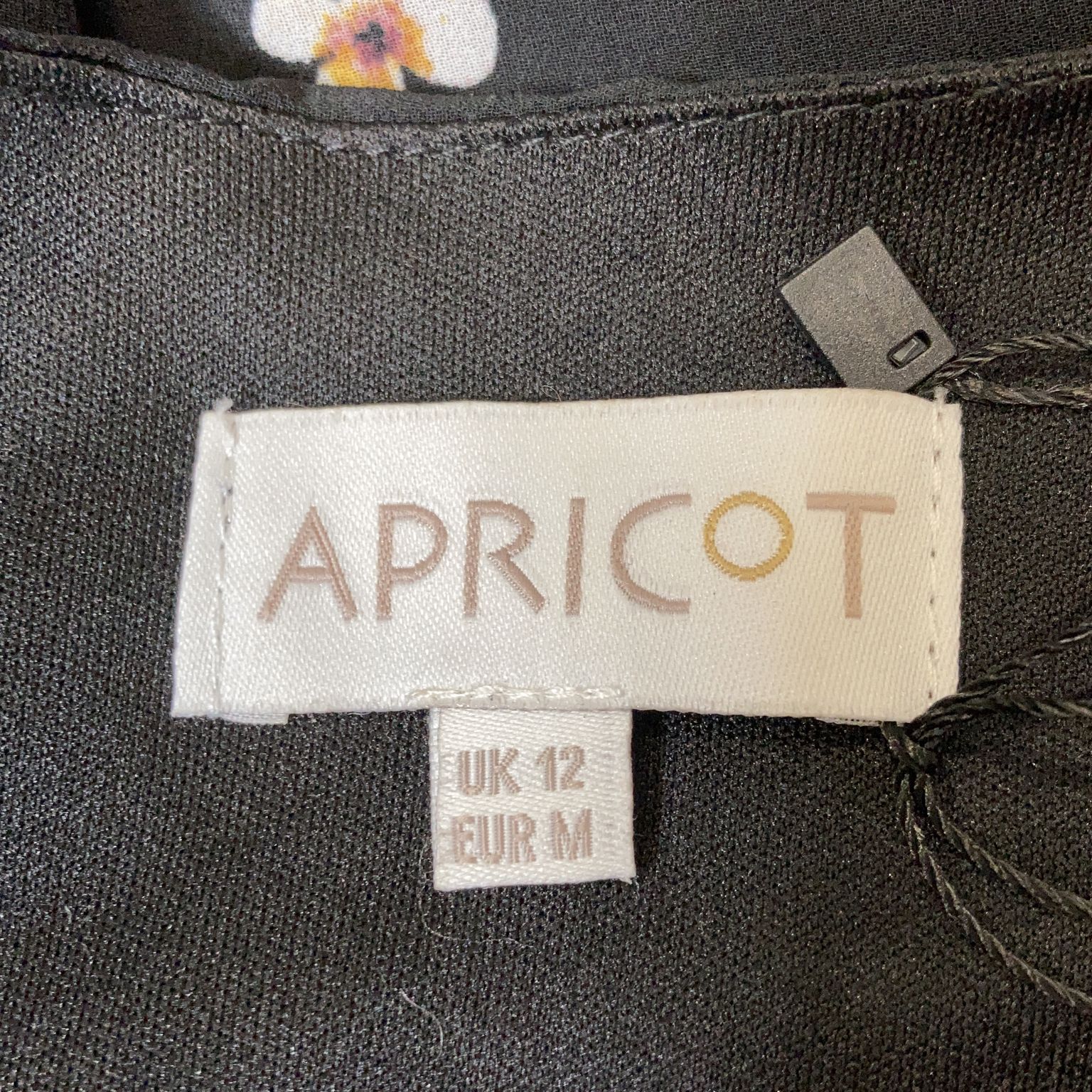 Apricot